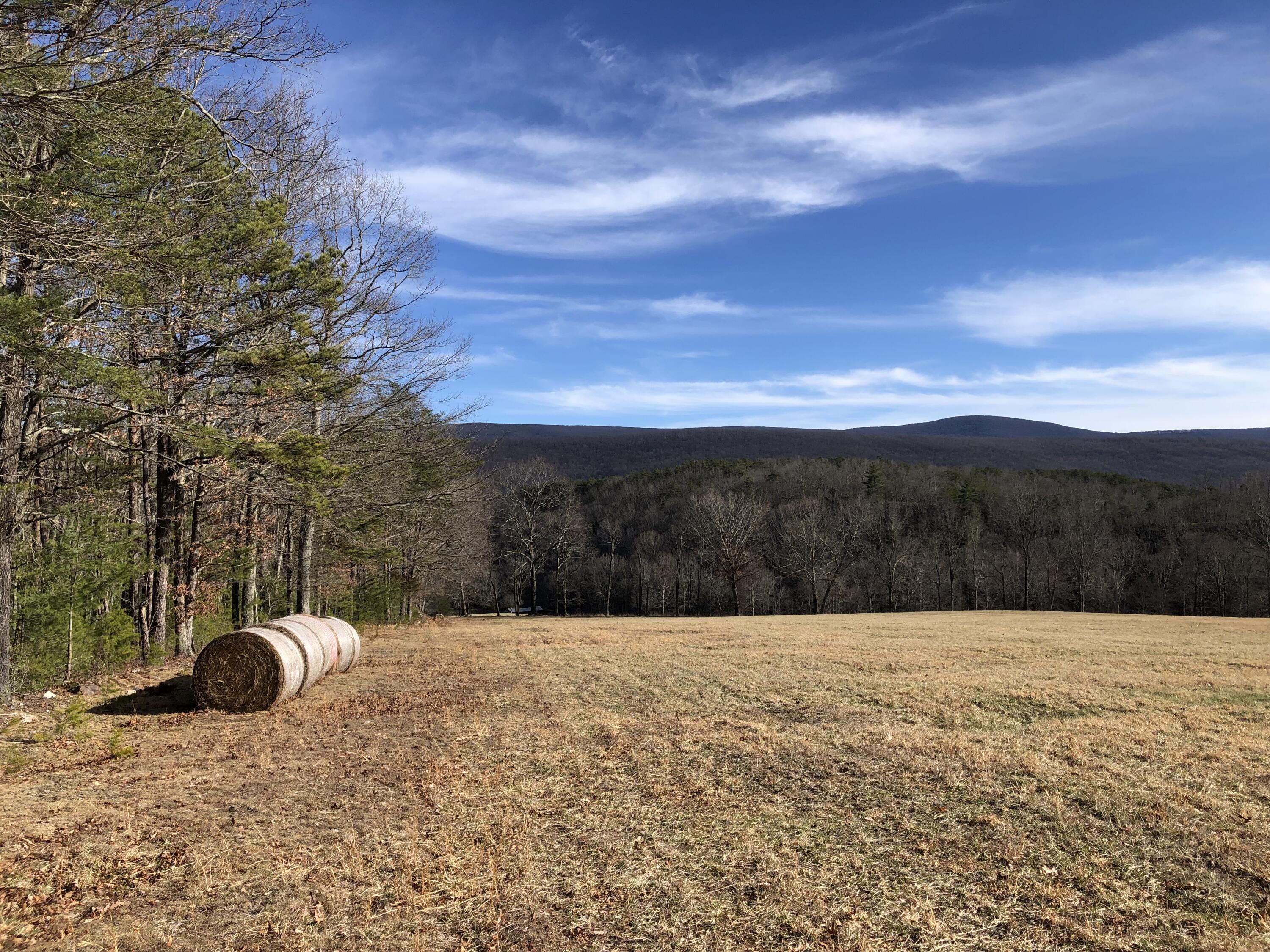 906 Wolfe Road Covington, VA 24426 - Photo 38 of 50 a view of outdoor space with mountain view