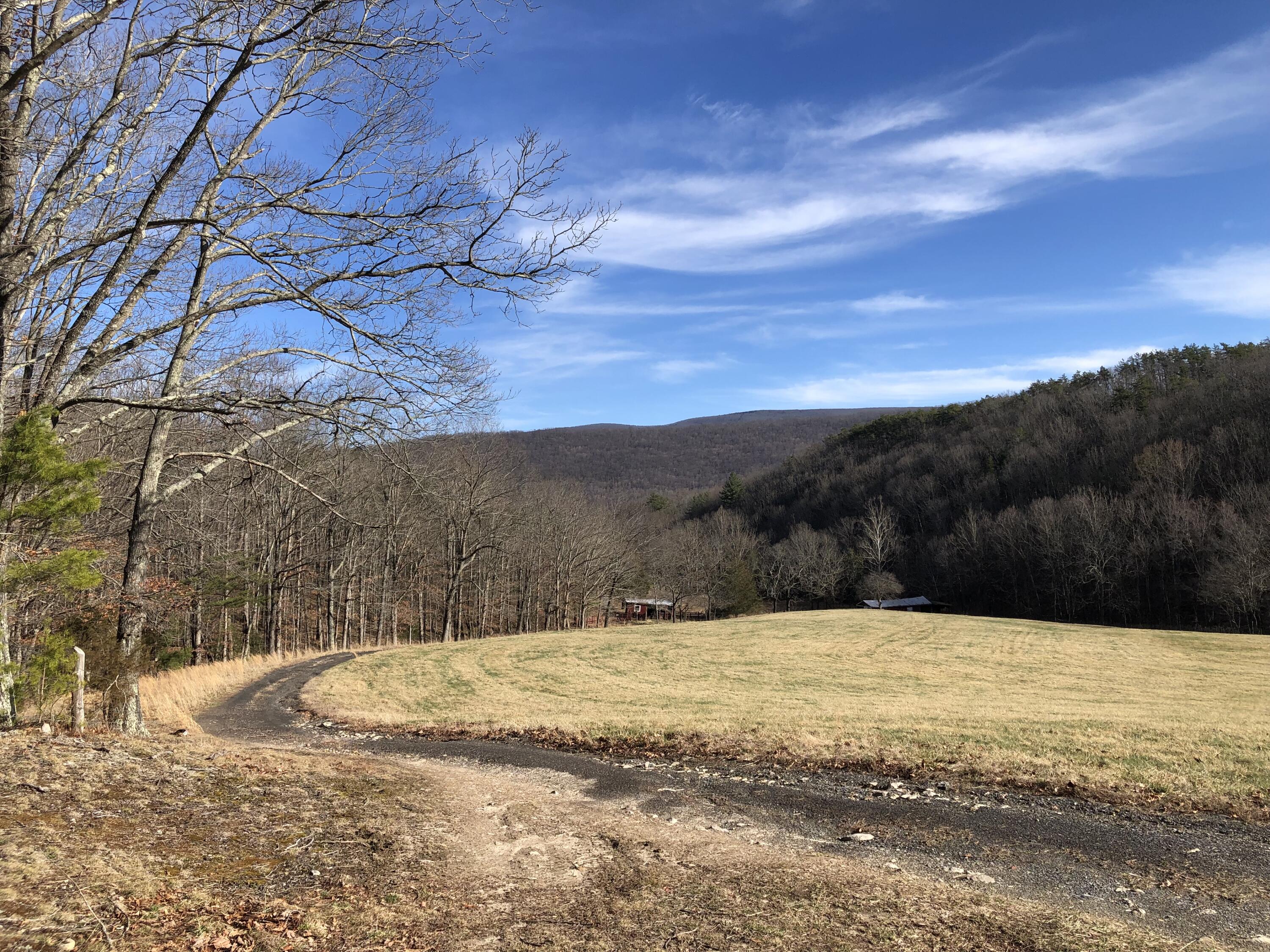 906 Wolfe Road Covington, VA 24426 - Photo 40 of 50 a view of ocean with a large tree