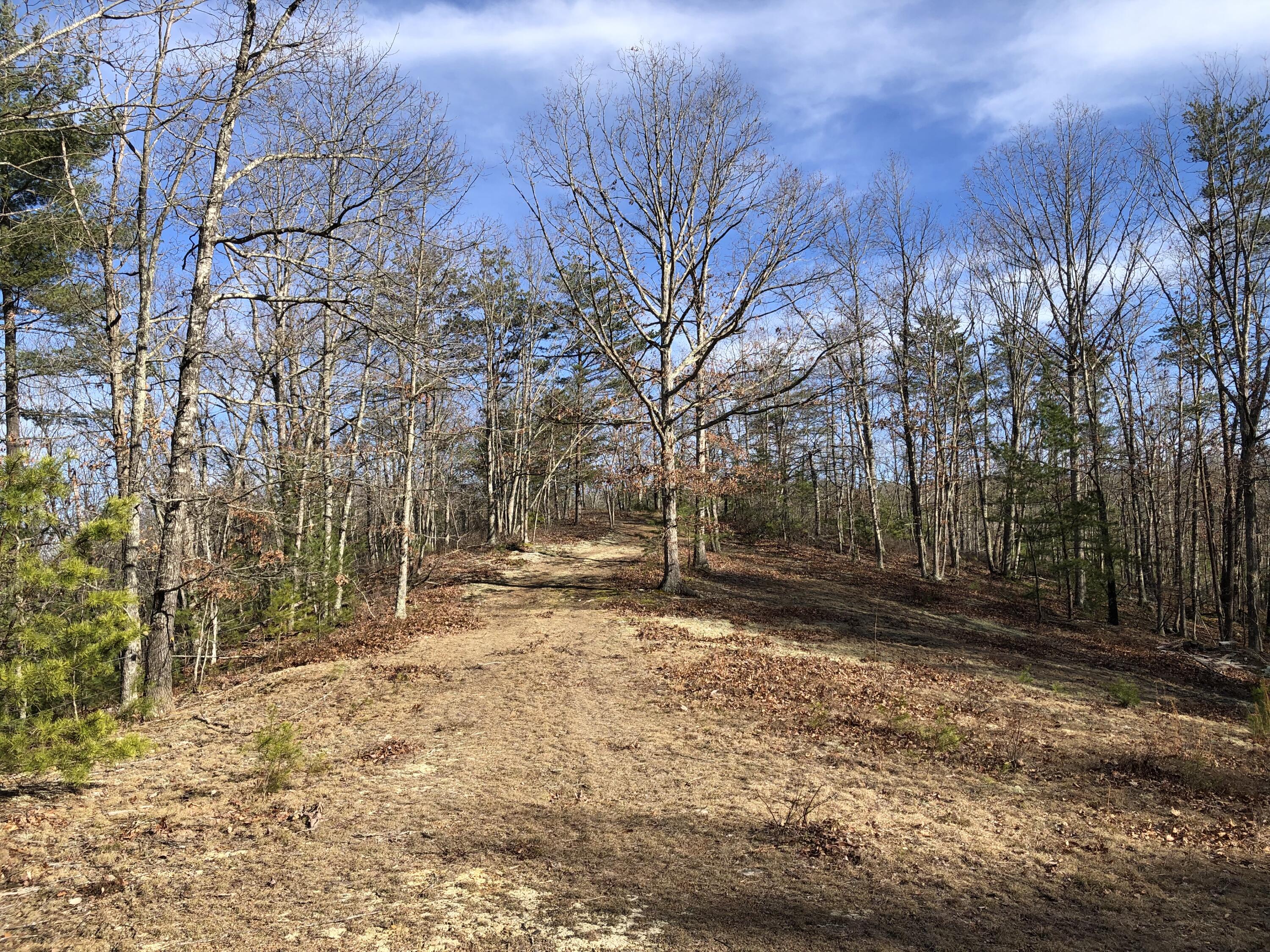 906 Wolfe Road Covington, VA 24426 - Photo 43 of 50 a backyard of a house with lots of green space