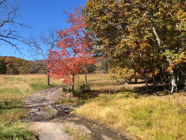 $699,000 | 906 Wolfe Road, Covington, VA 24426