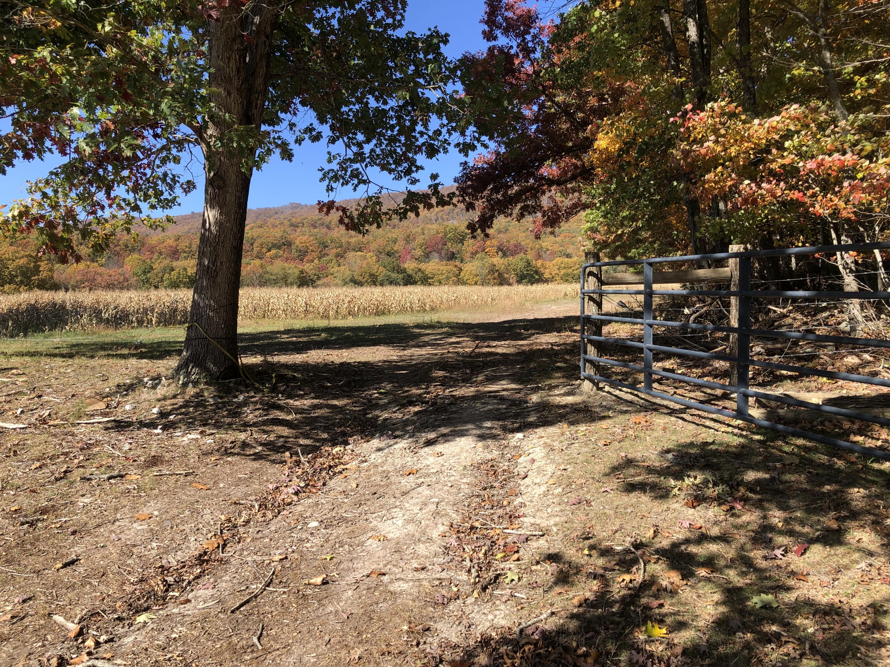 906 Wolfe Road Covington, VA 24426 - Photo 48 of 50 a view of a yard with wooden fence
