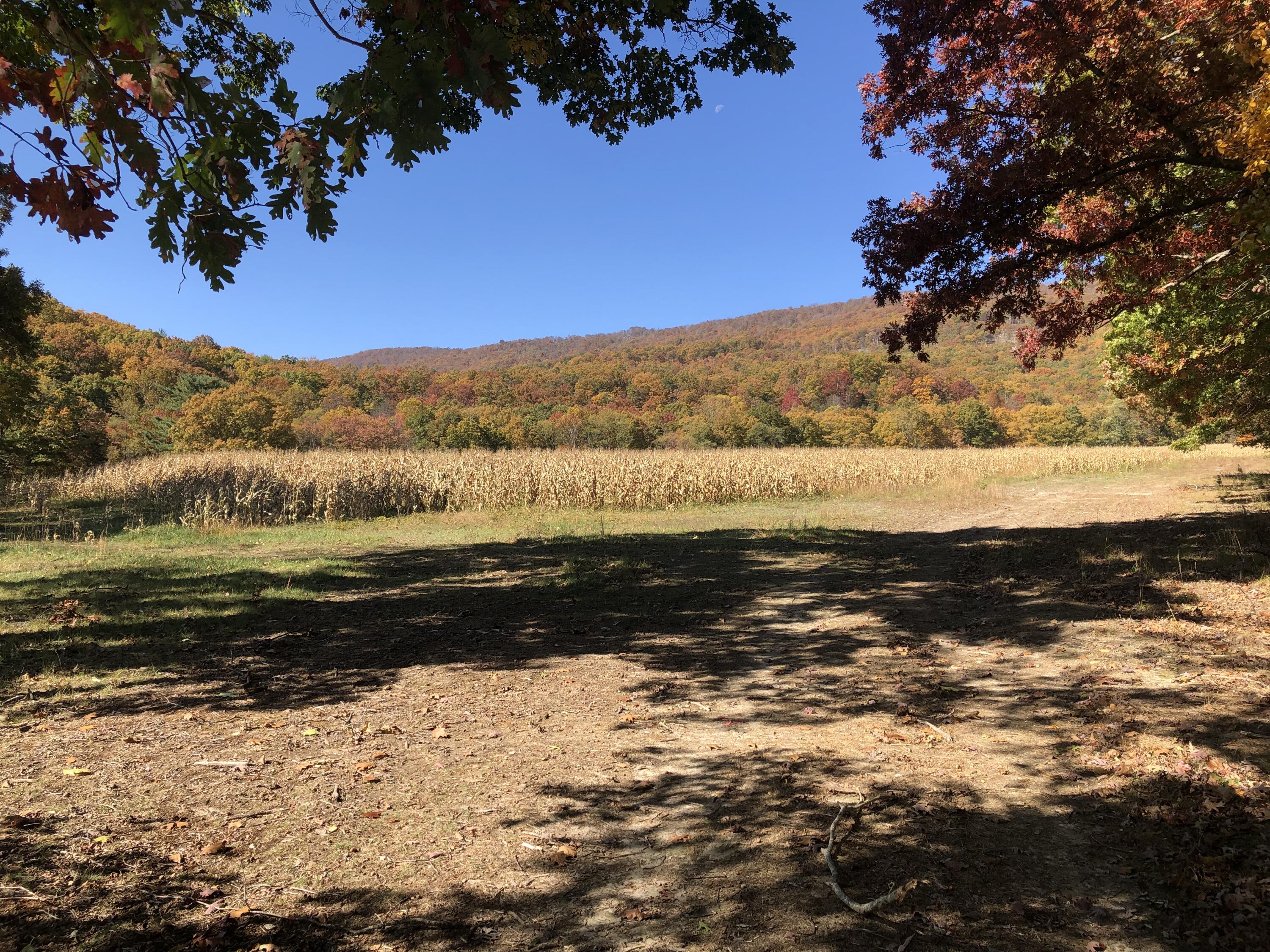 906 Wolfe Road Covington, VA 24426 - Photo 49 of 50 a view of lake with mountain