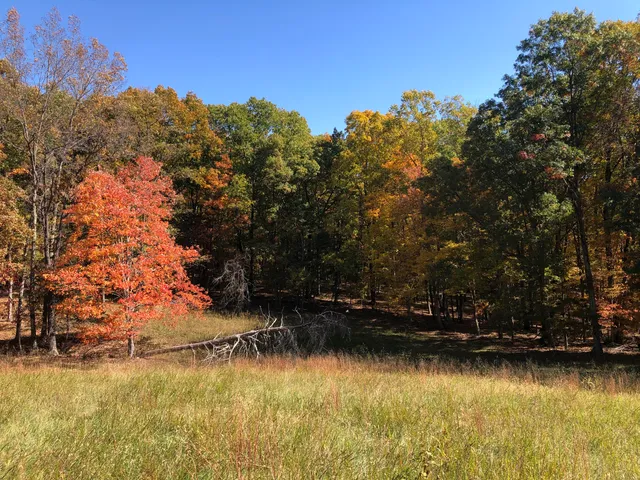 $699,000 | 906 Wolfe Road, Covington, VA 24426