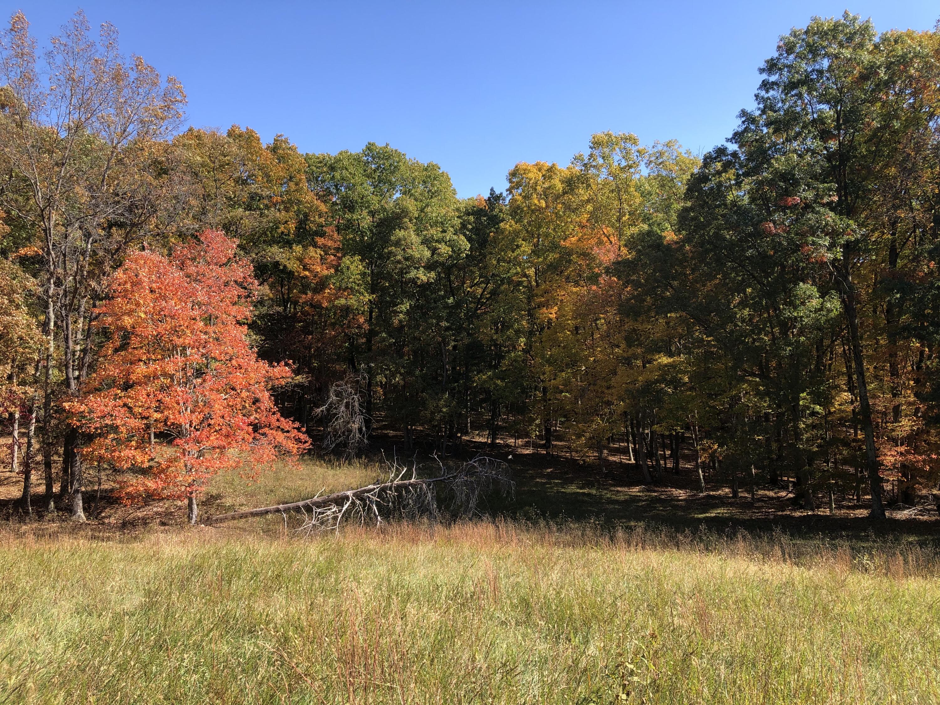 906 Wolfe Road Covington, VA 24426 - Photo 50 of 50