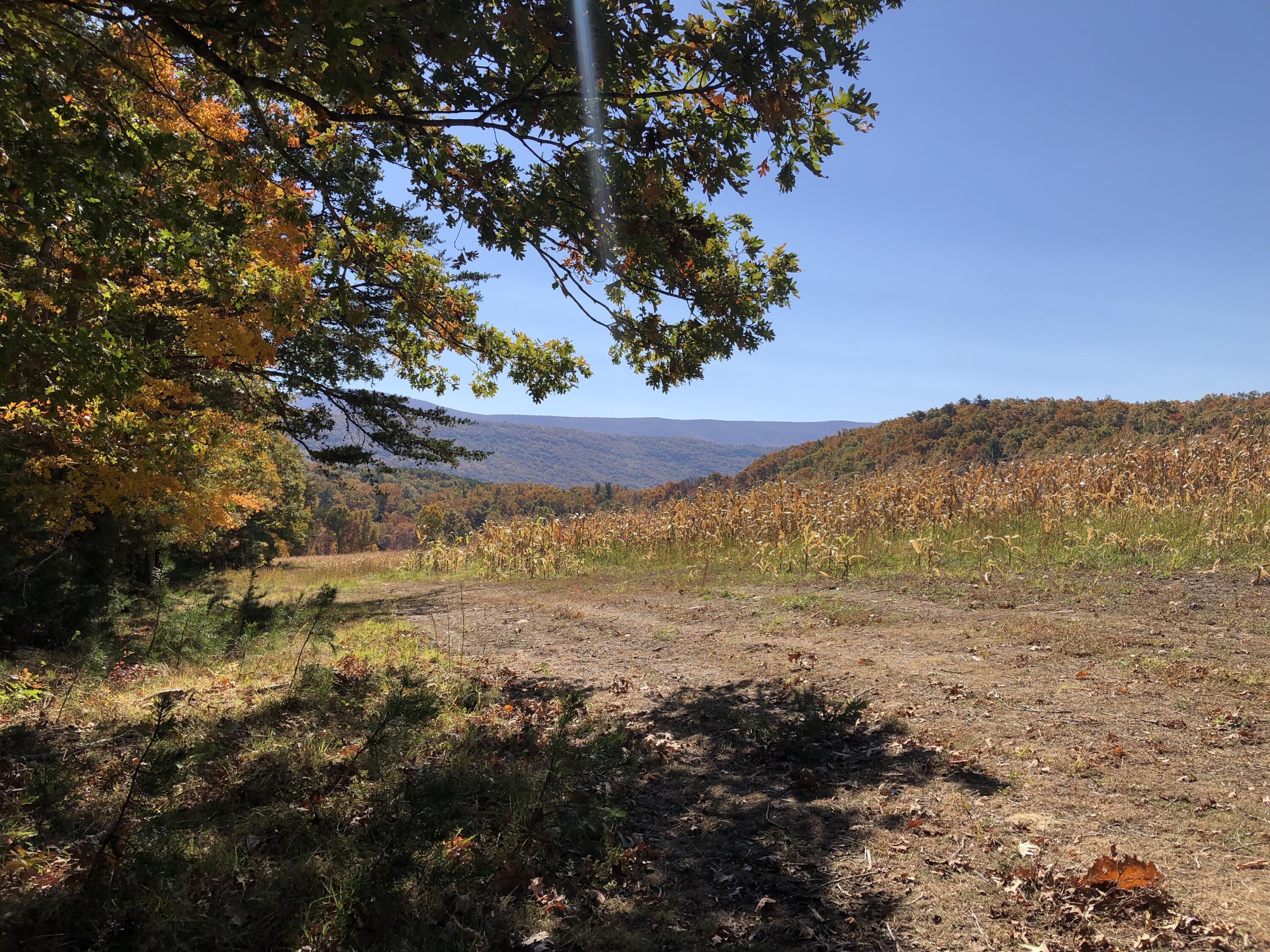 906 Wolfe Road Covington, VA 24426 - Photo 6 of 50 a view of ocean view