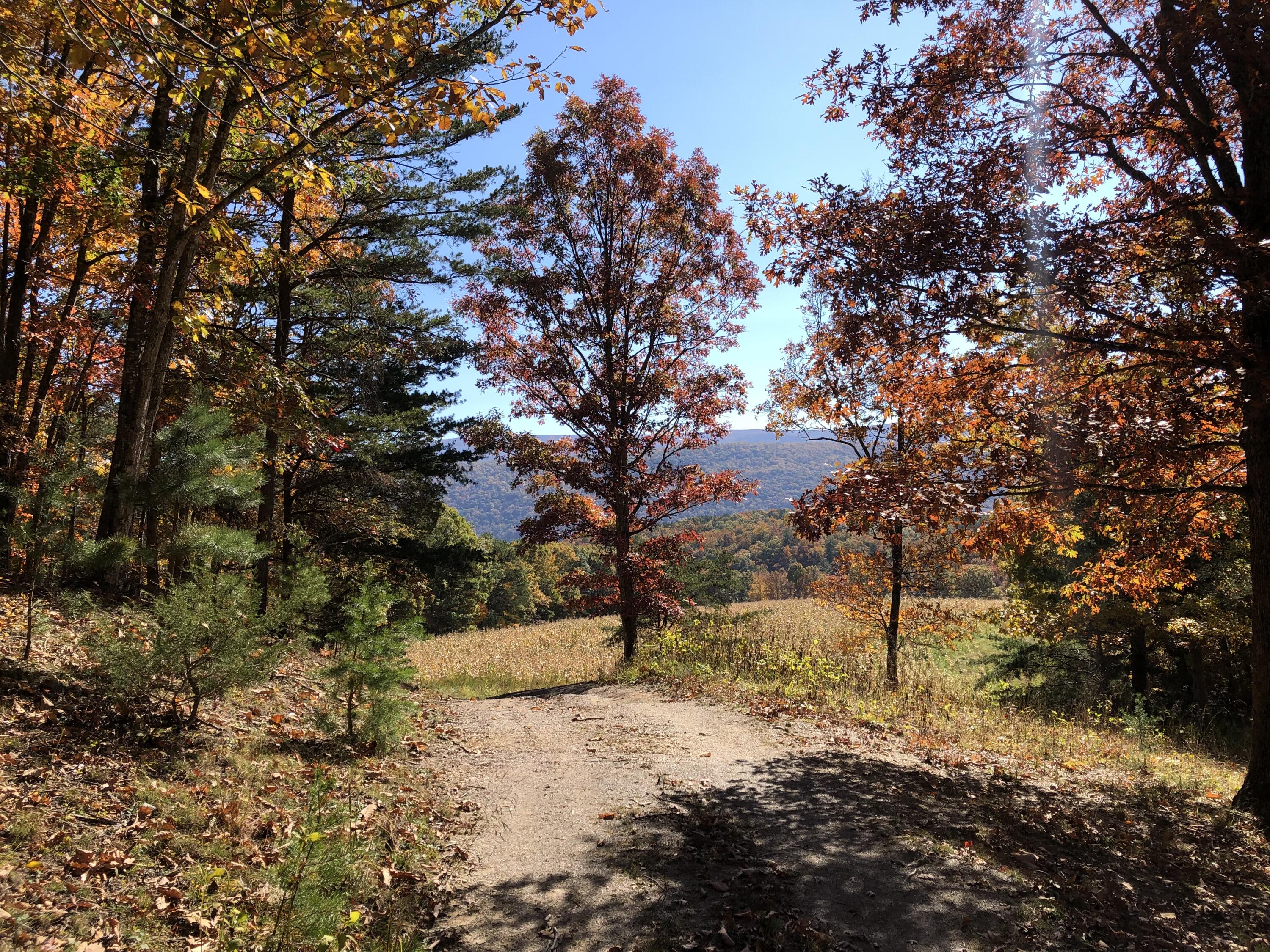 906 Wolfe Road Covington, VA 24426 - Photo 9 of 50