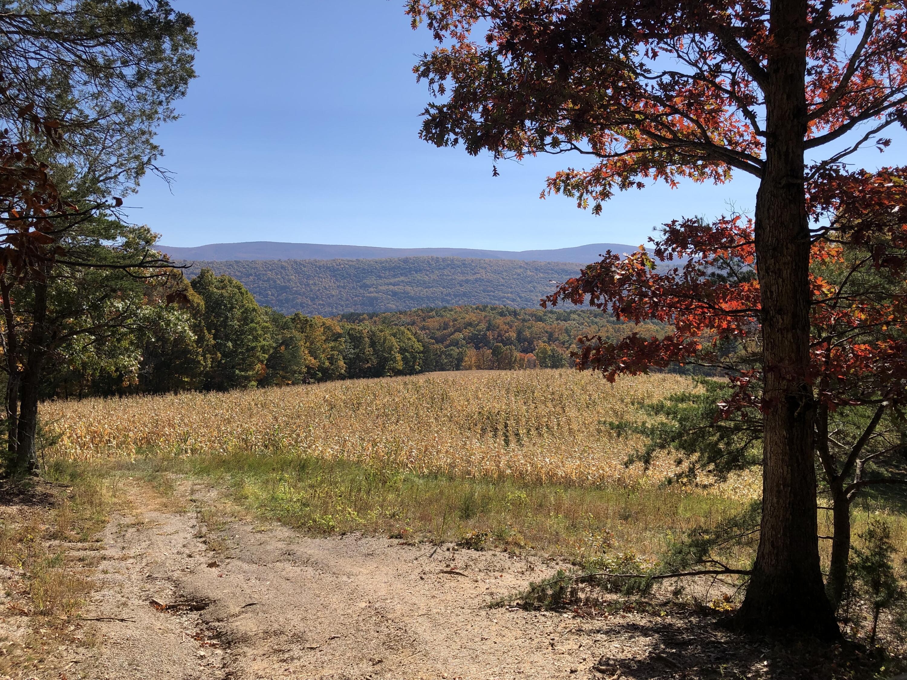 906 Wolfe Road Covington, VA 24426 - Photo 10 of 50 a view of lake with mountain in background