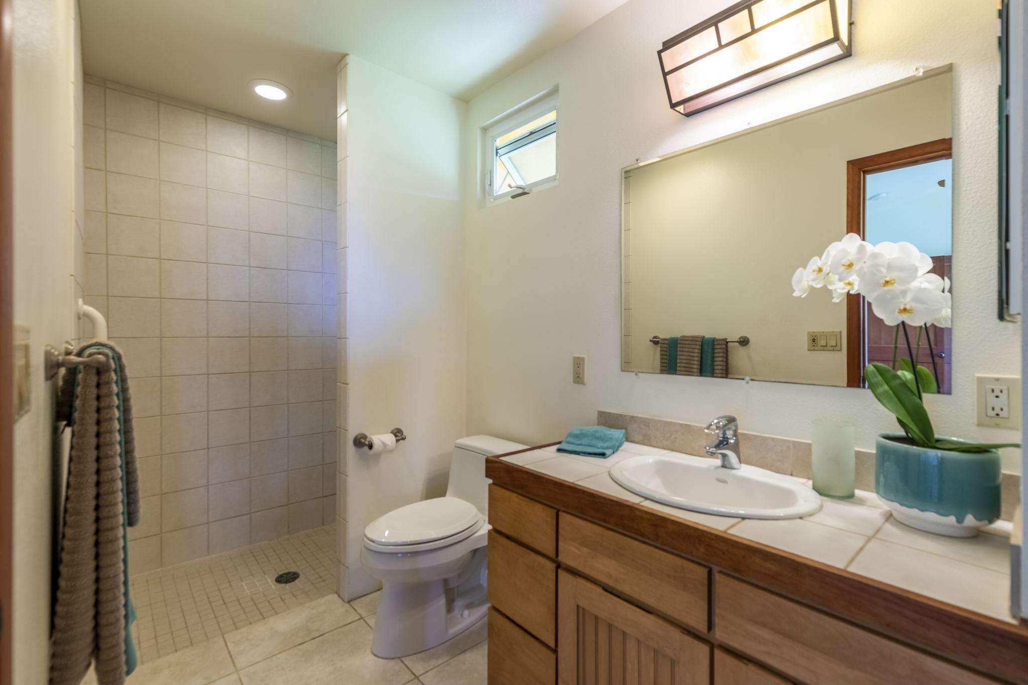 207 Uakoko Place Haiku, HI 96708 - Photo 23 of 30 a bathroom with a sink a toilet and shower