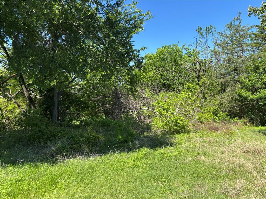 0 Ridgetop Court Blue Ridge, TX 75424 - Photo 3 of 3 a view of a garden