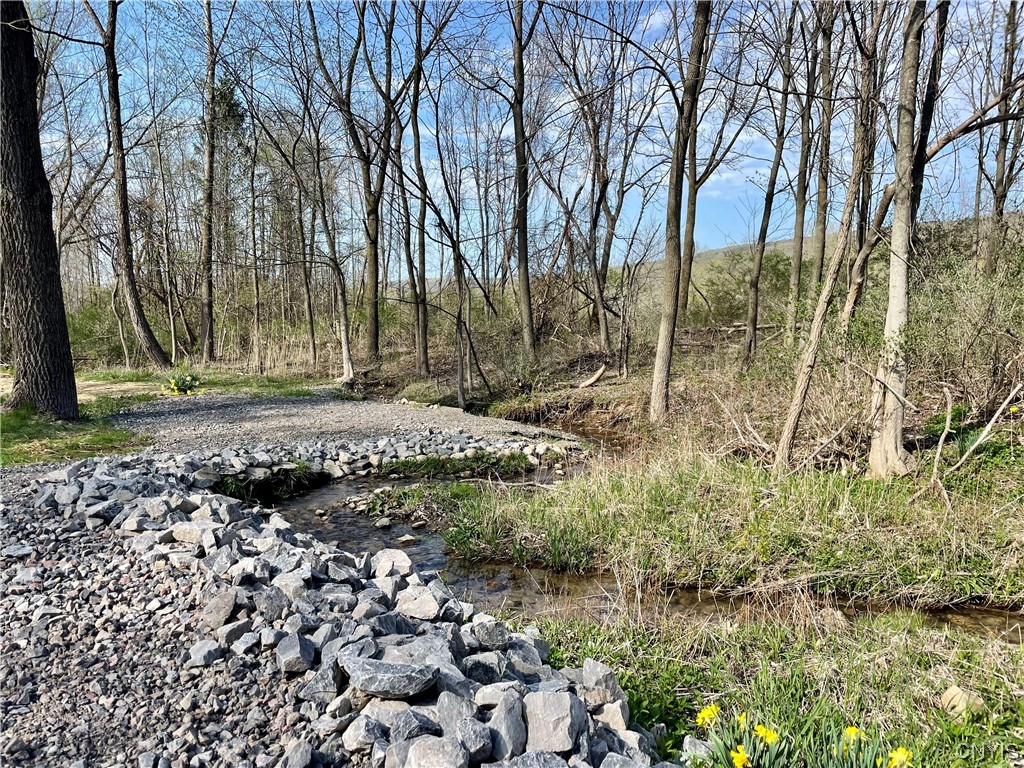 5445 Solvay Road Tully, NY 13159 - Photo 3 of 33