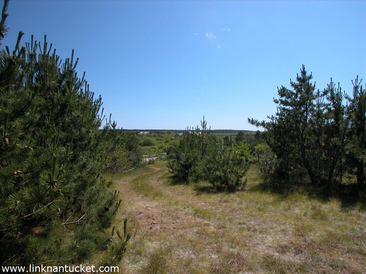 82 Millbrook Road Nantucket, MA 02554 - Photo 3 of 6 Gallery Image 3