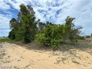 85 Milwaukee Boulevard Lehigh Acres, FL 33936 - Photo 1 of 2 a view of a yard with plants and trees