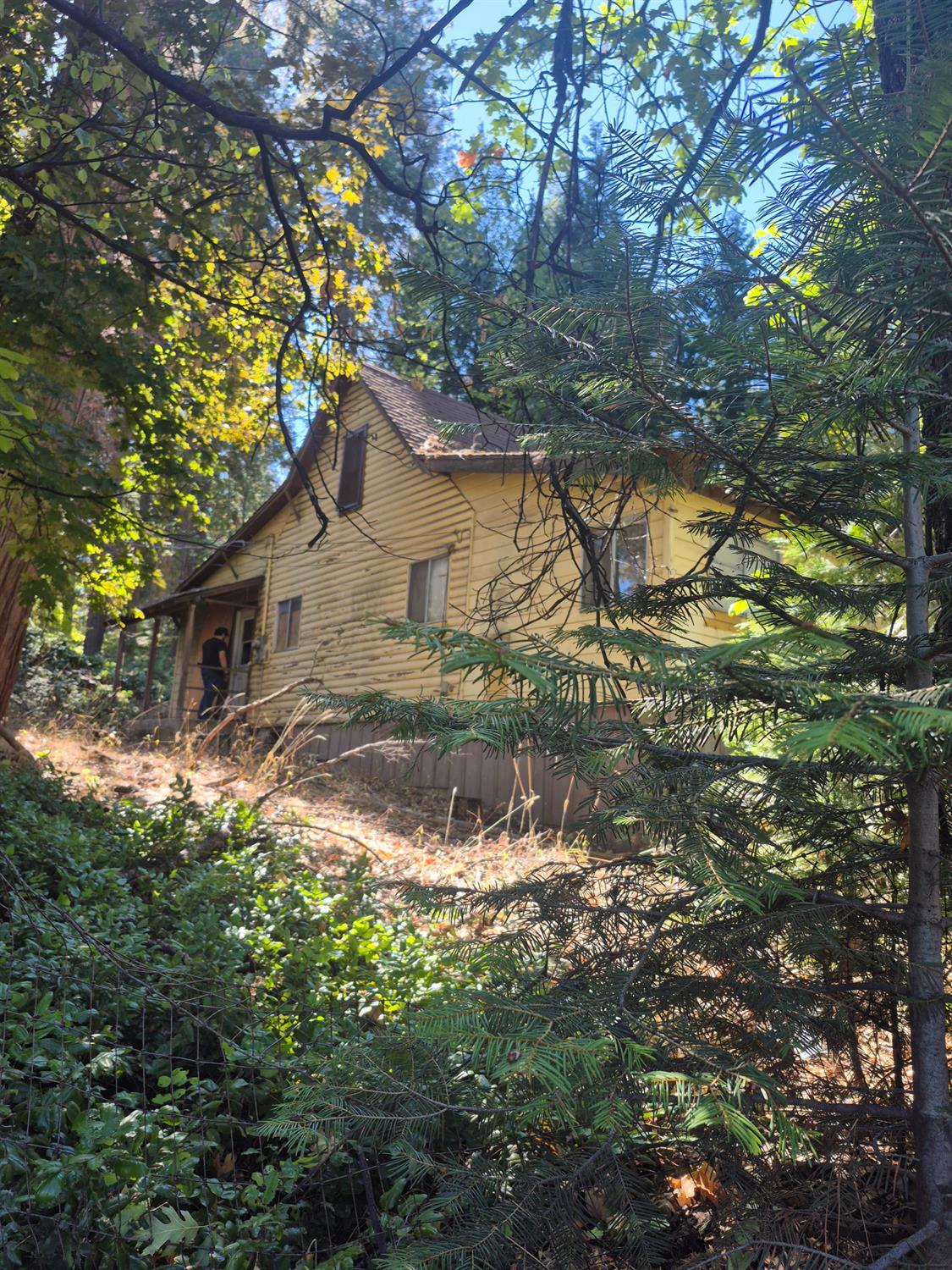 a backyard of a house with lots of green space