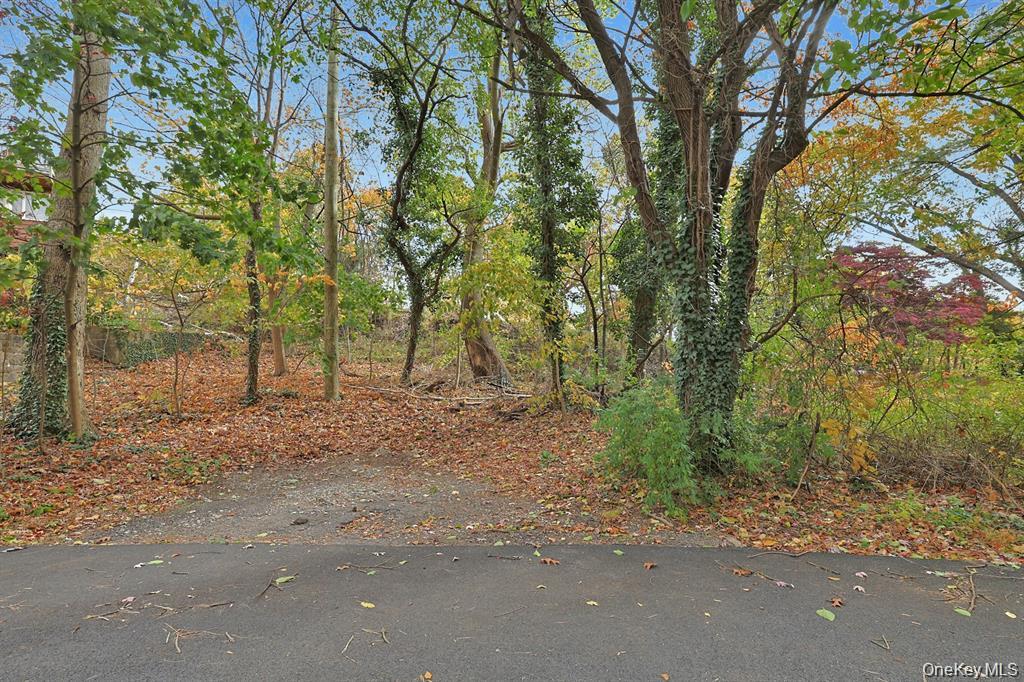 a view of road and trees