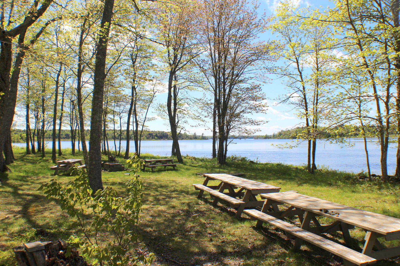 61 Lakeside Place Princeton, ME 04668 - Photo 49 of 53 IMG_0945