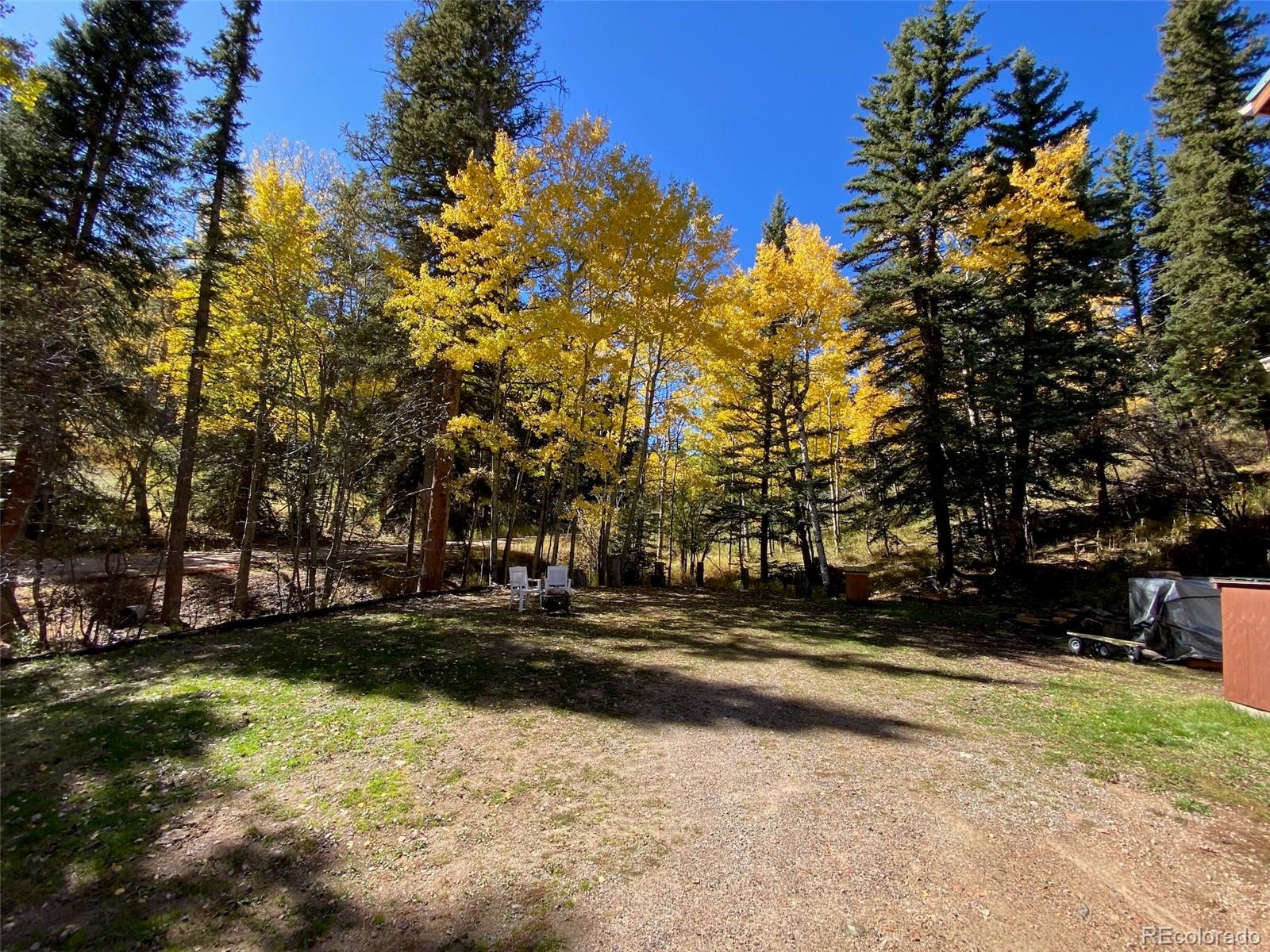 11182 Barney Gulch Road Conifer, CO 80433 - Photo 37 of 50 a view of road with trees