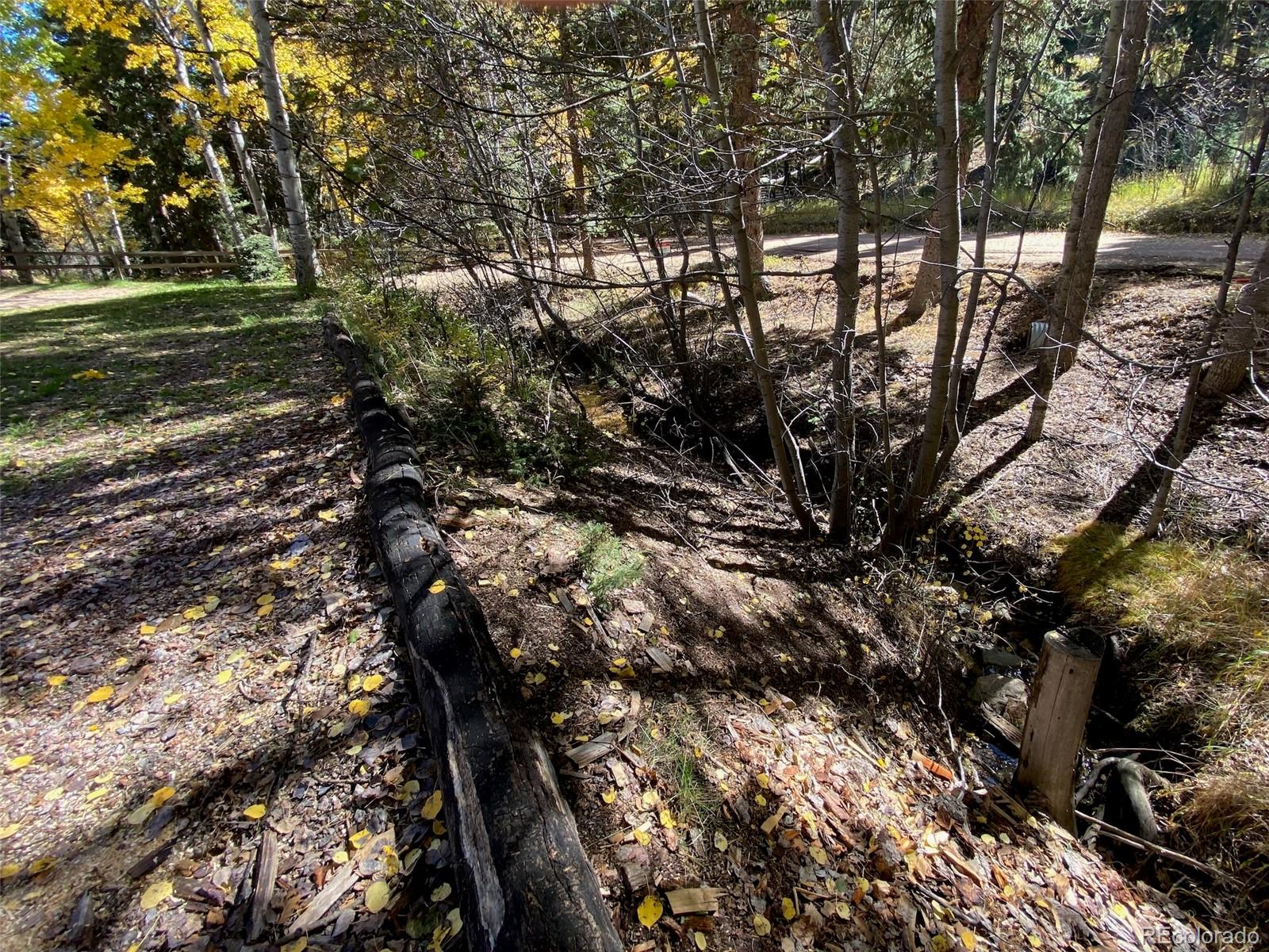 11182 Barney Gulch Road Conifer, CO 80433 - Photo 39 of 50 a view of a tree with a yard