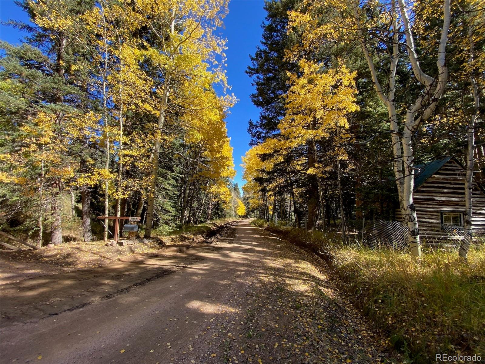 11182 Barney Gulch Road Conifer, CO 80433 - Photo 40 of 50 a backyard of a house with lots of green space