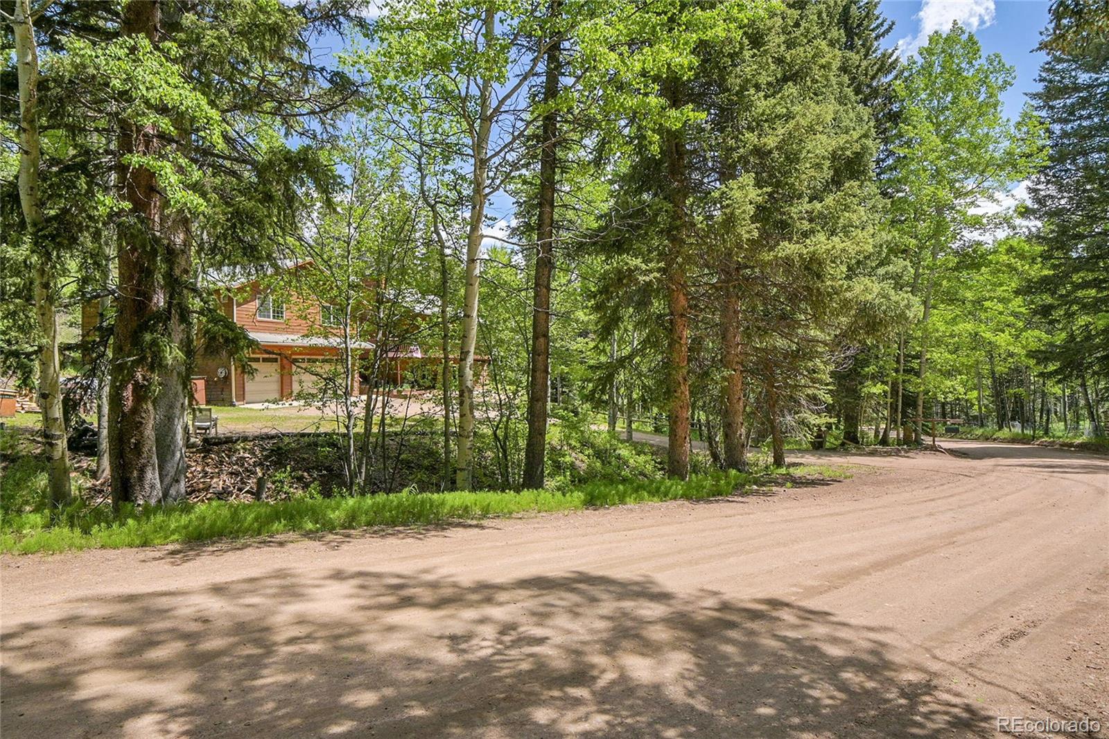 11182 Barney Gulch Road Conifer, CO 80433 - Photo 41 of 50 a pathway of a house with a big yard and large trees