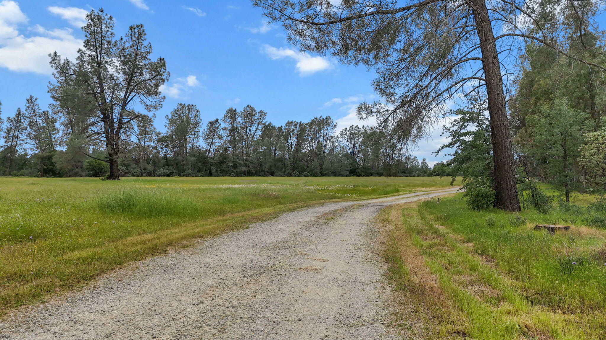 5722 Happy Valley Road Anderson, CA 96007 - Photo 25 of 29 a view of a golf course with a lake