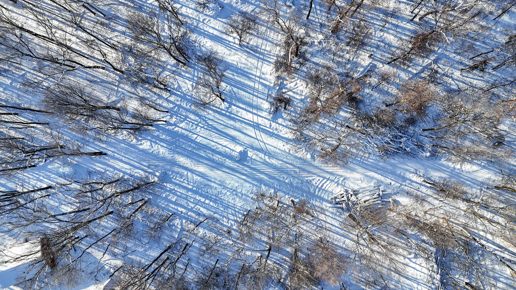 2 Forest Road Dowagiac, MI 49047 - Photo 6 of 15 dji_fly_20250115_154802_0489_17369747152