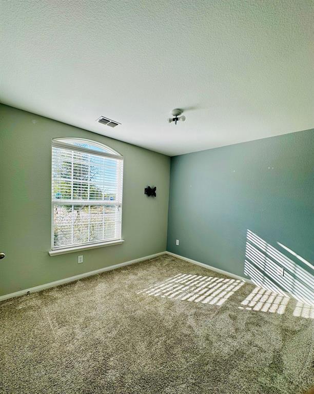 129 Lamont Road Anna, TX 75409 - Photo 17 of 40