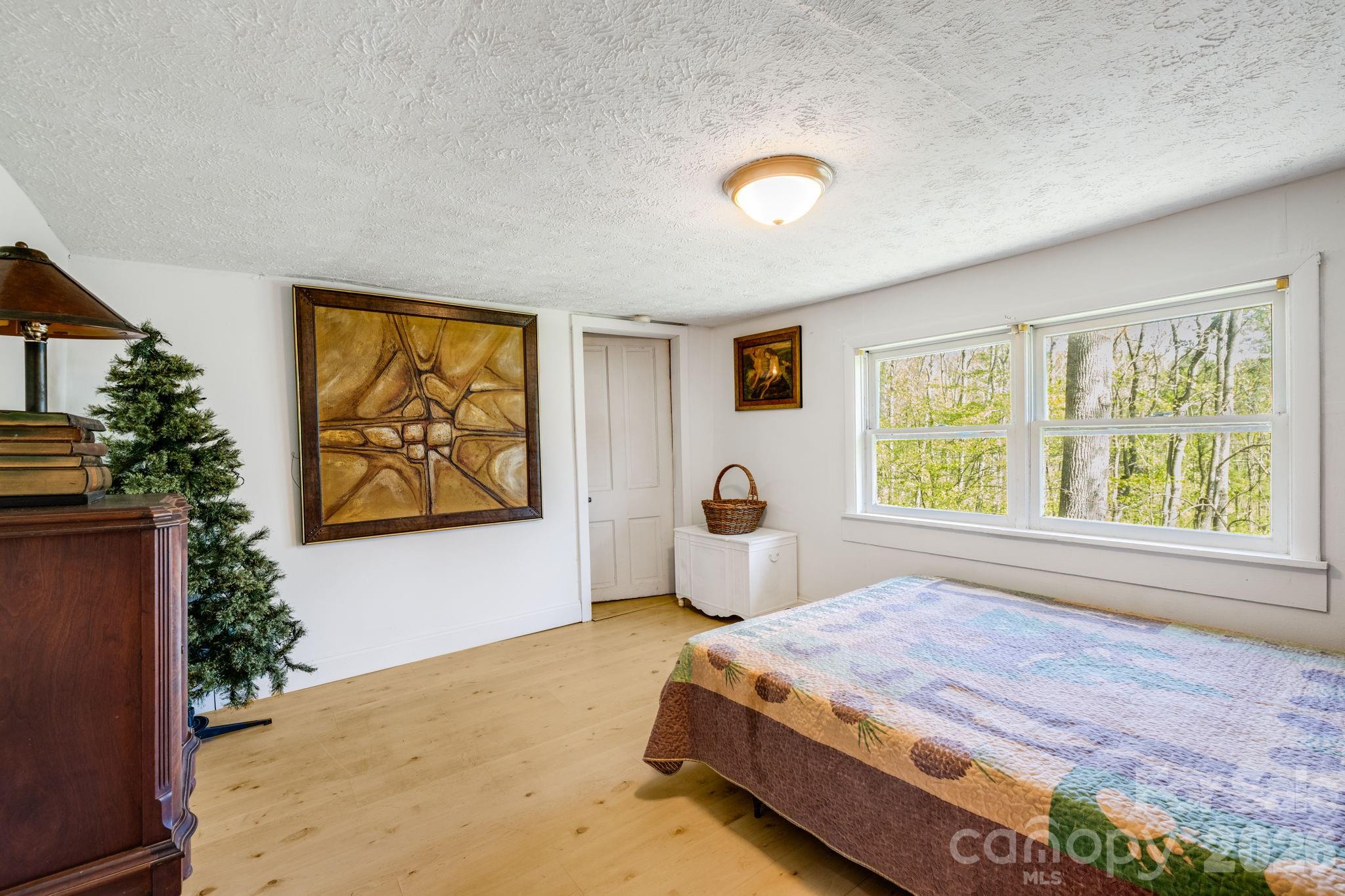 874 Bluff Mountain Road Hot Springs, NC 28743 - Photo 16 of 48