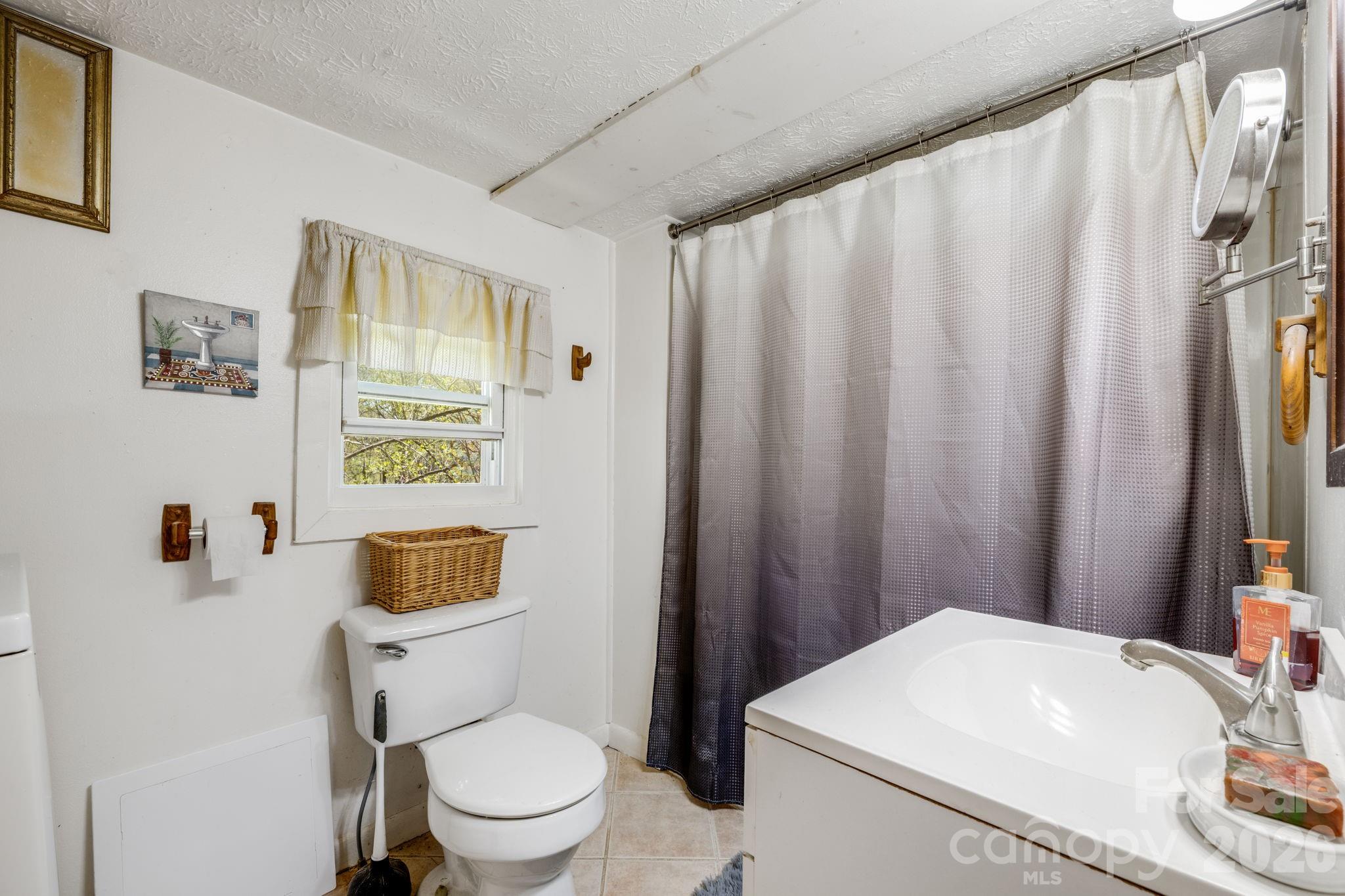 874 Bluff Mountain Road Hot Springs, NC 28743 - Photo 19 of 48