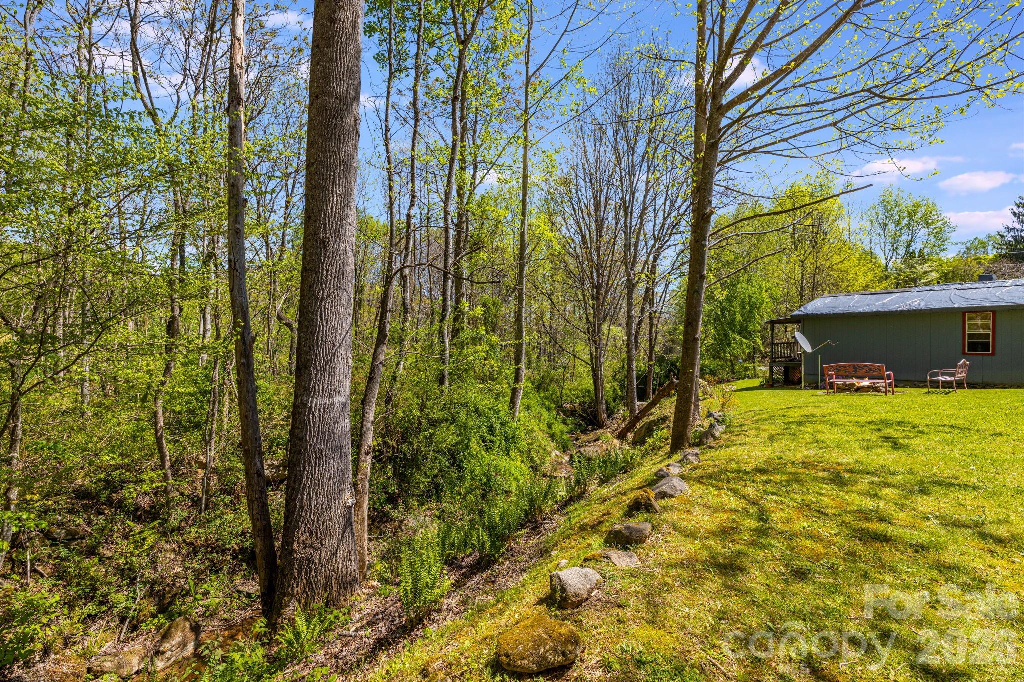 874 Bluff Mountain Road Hot Springs, NC 28743 - Photo 27 of 48