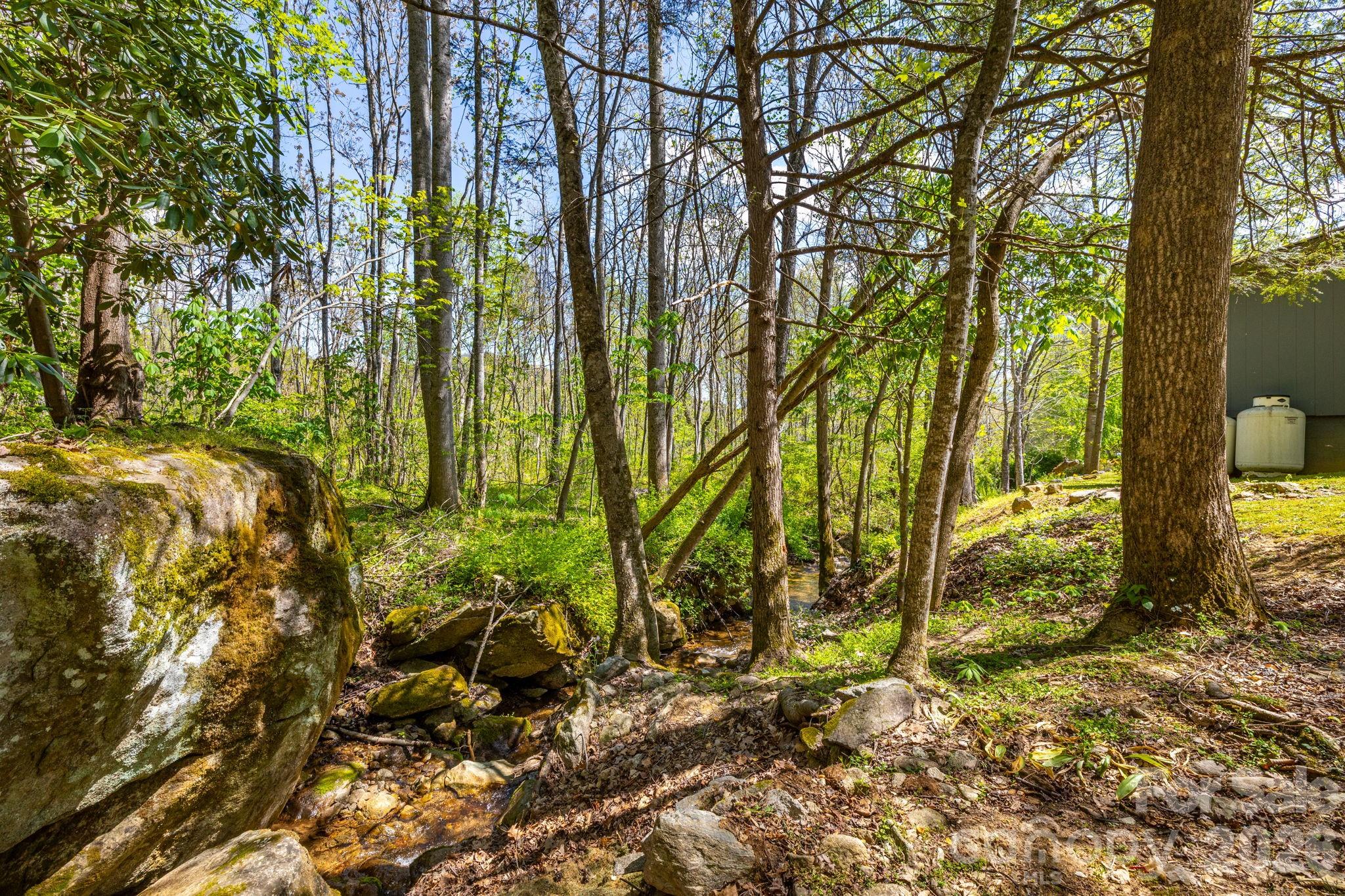 874 Bluff Mountain Road Hot Springs, NC 28743 - Photo 44 of 48