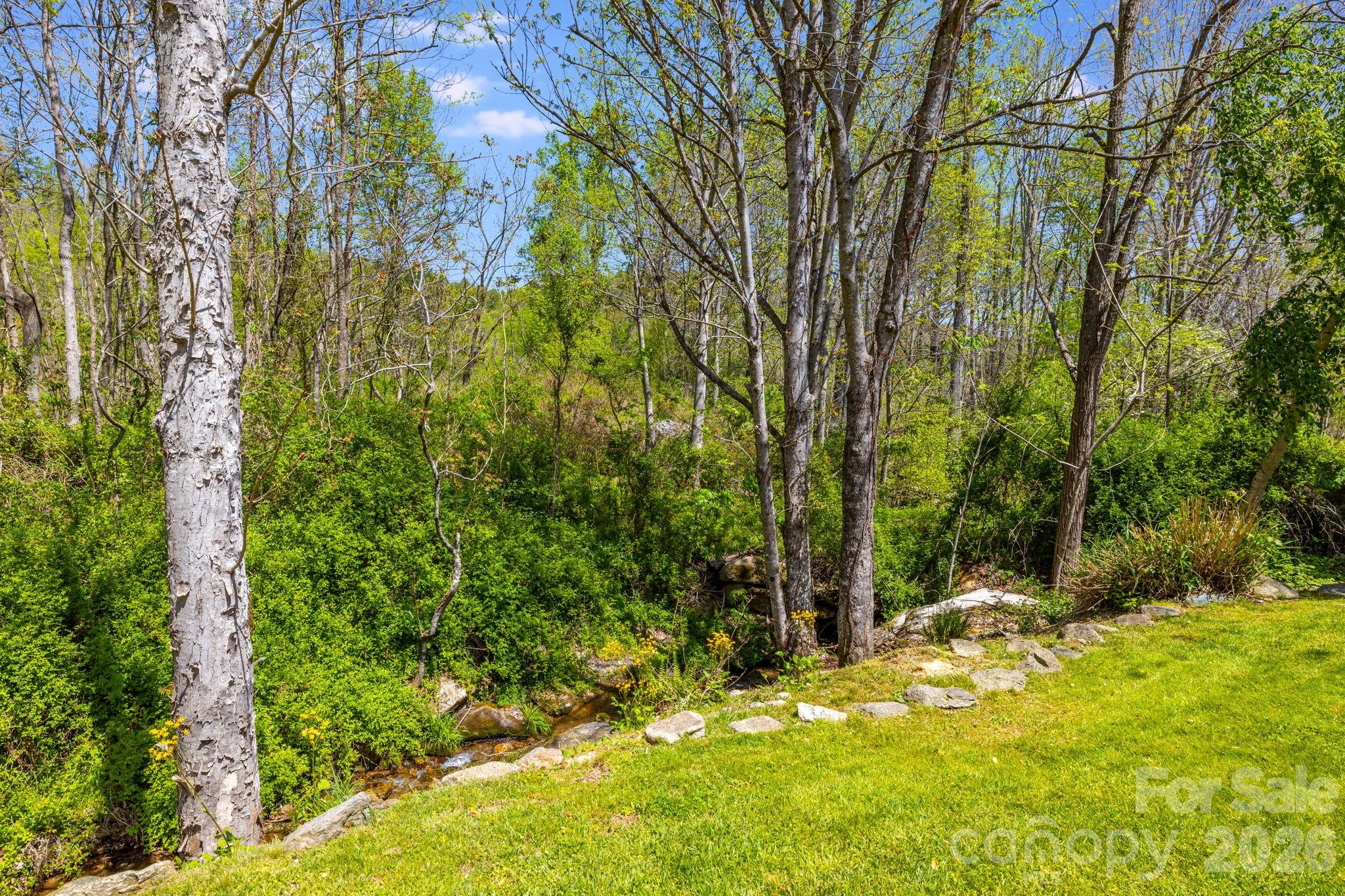 874 Bluff Mountain Road Hot Springs, NC 28743 - Photo 45 of 48