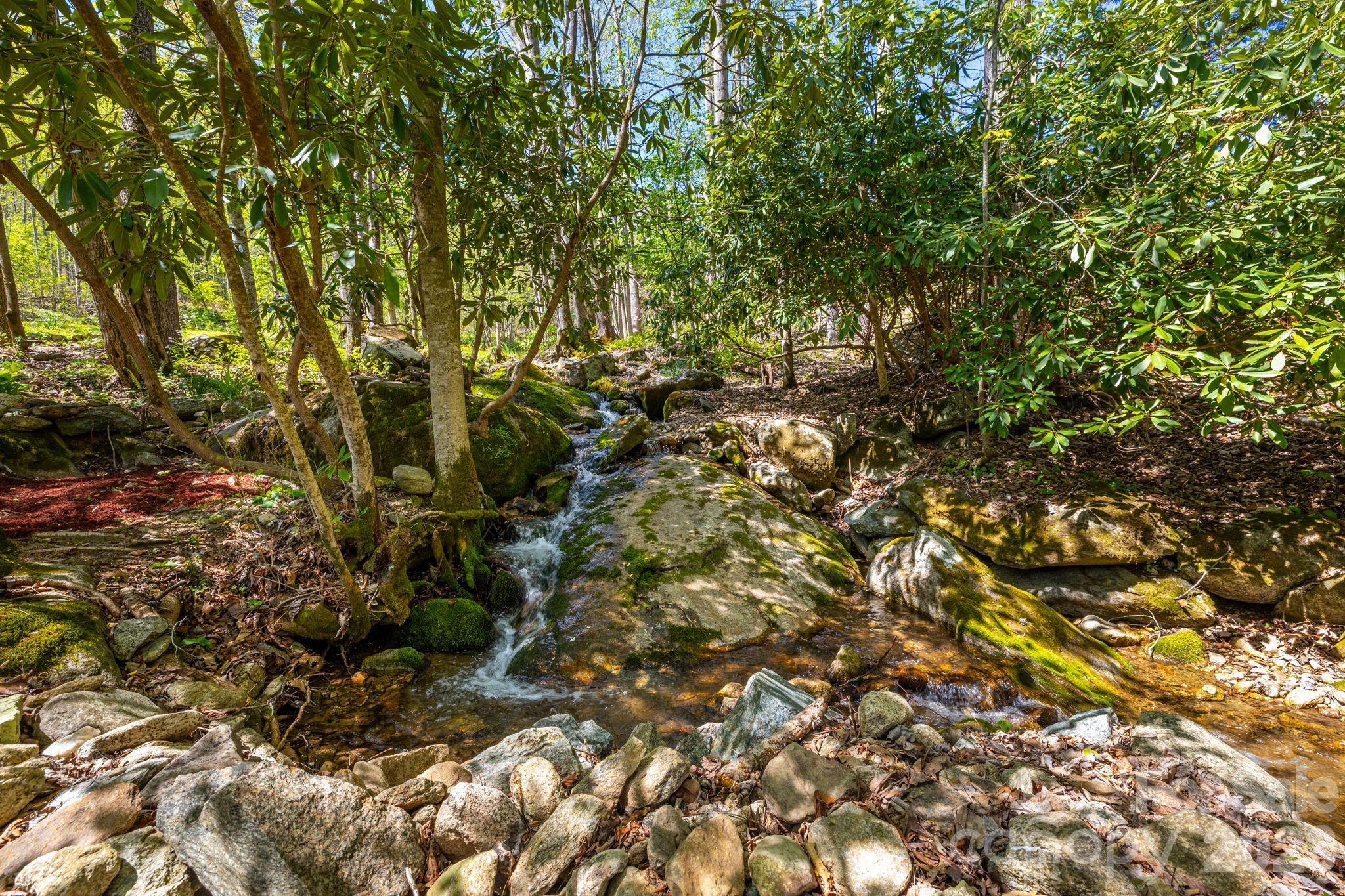 874 Bluff Mountain Road Hot Springs, NC 28743 - Photo 47 of 48
