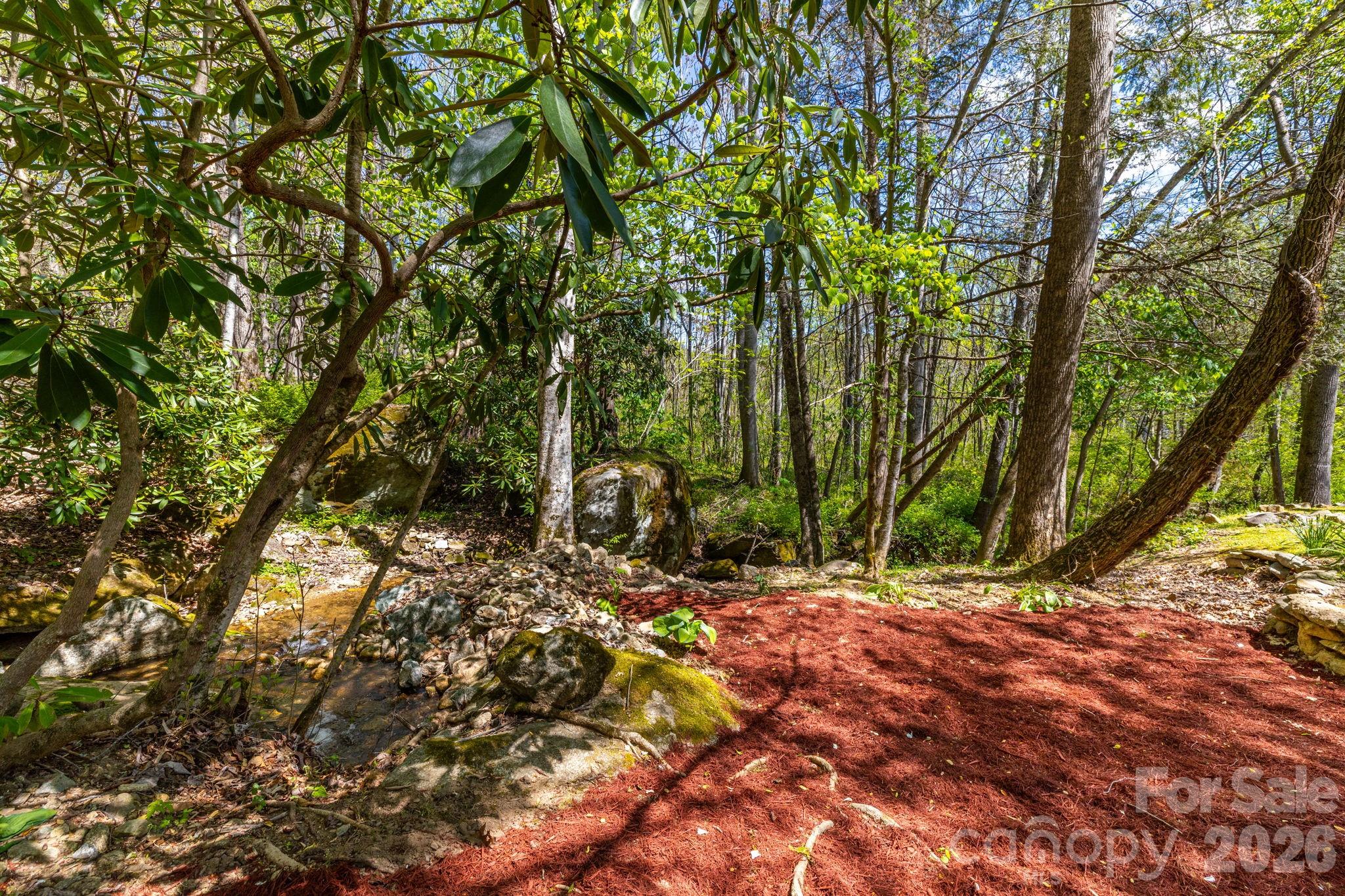 874 Bluff Mountain Road Hot Springs, NC 28743 - Photo 48 of 48