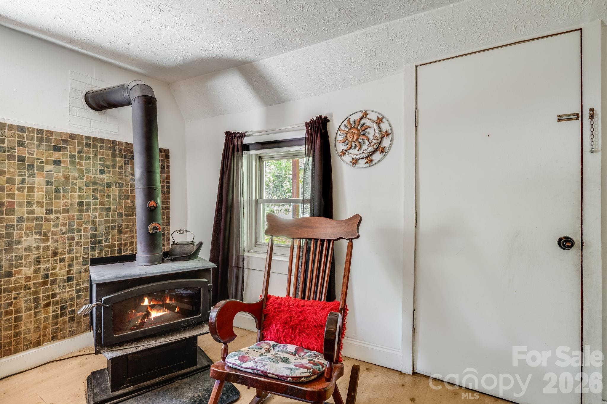 874 Bluff Mountain Road Hot Springs, NC 28743 - Photo 8 of 48