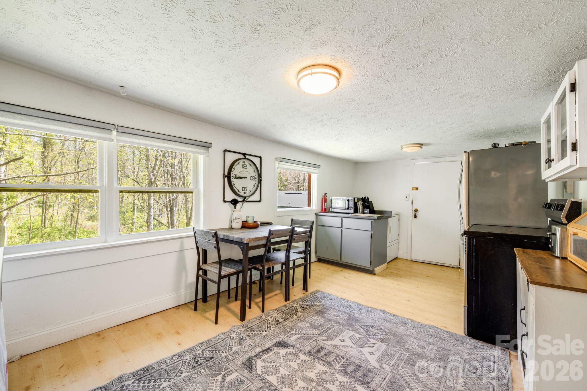 874 Bluff Mountain Road Hot Springs, NC 28743 - Photo 9 of 48