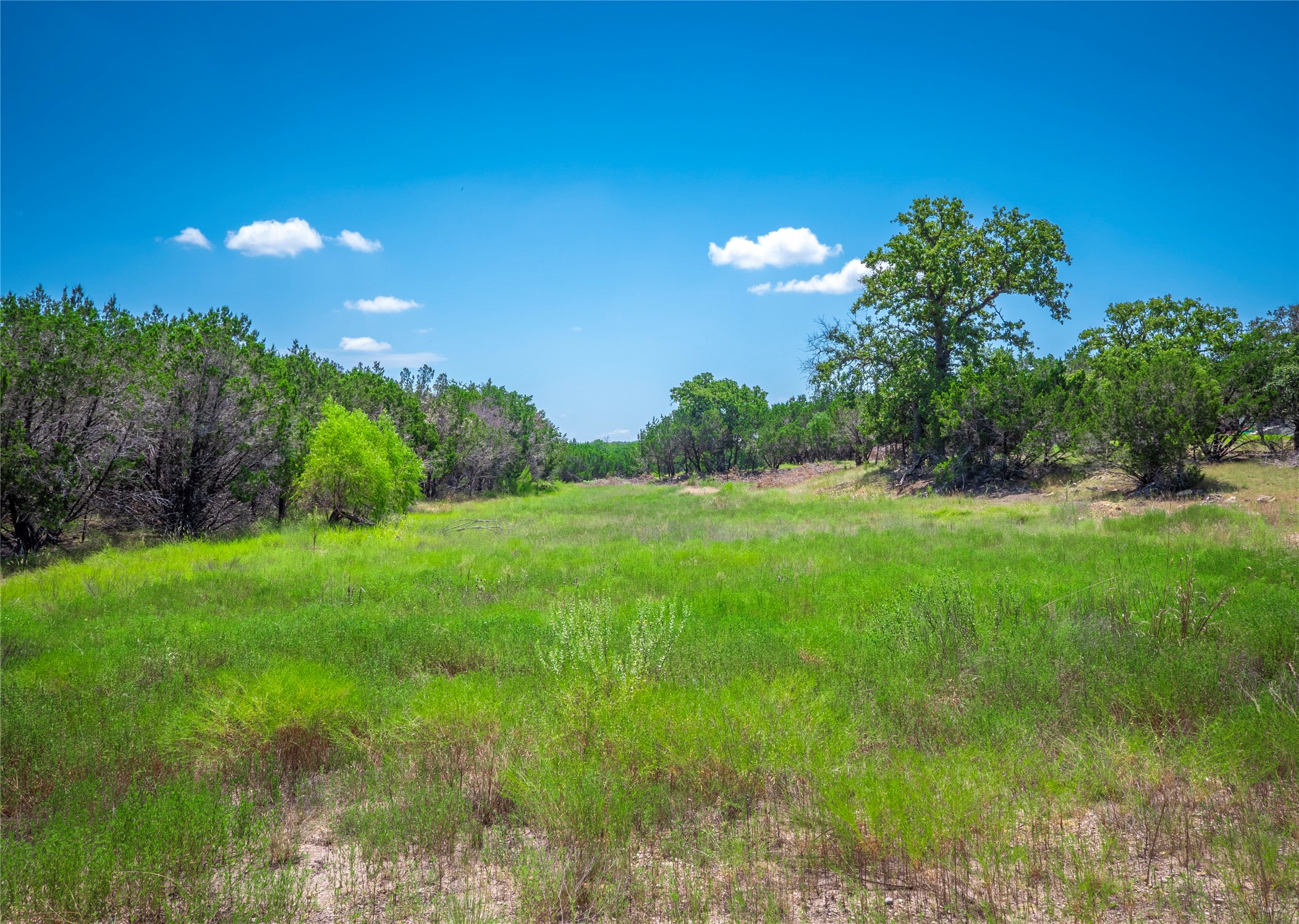 193 Garner Rnch Road Bertram, TX 78605 - Photo 11 of 18