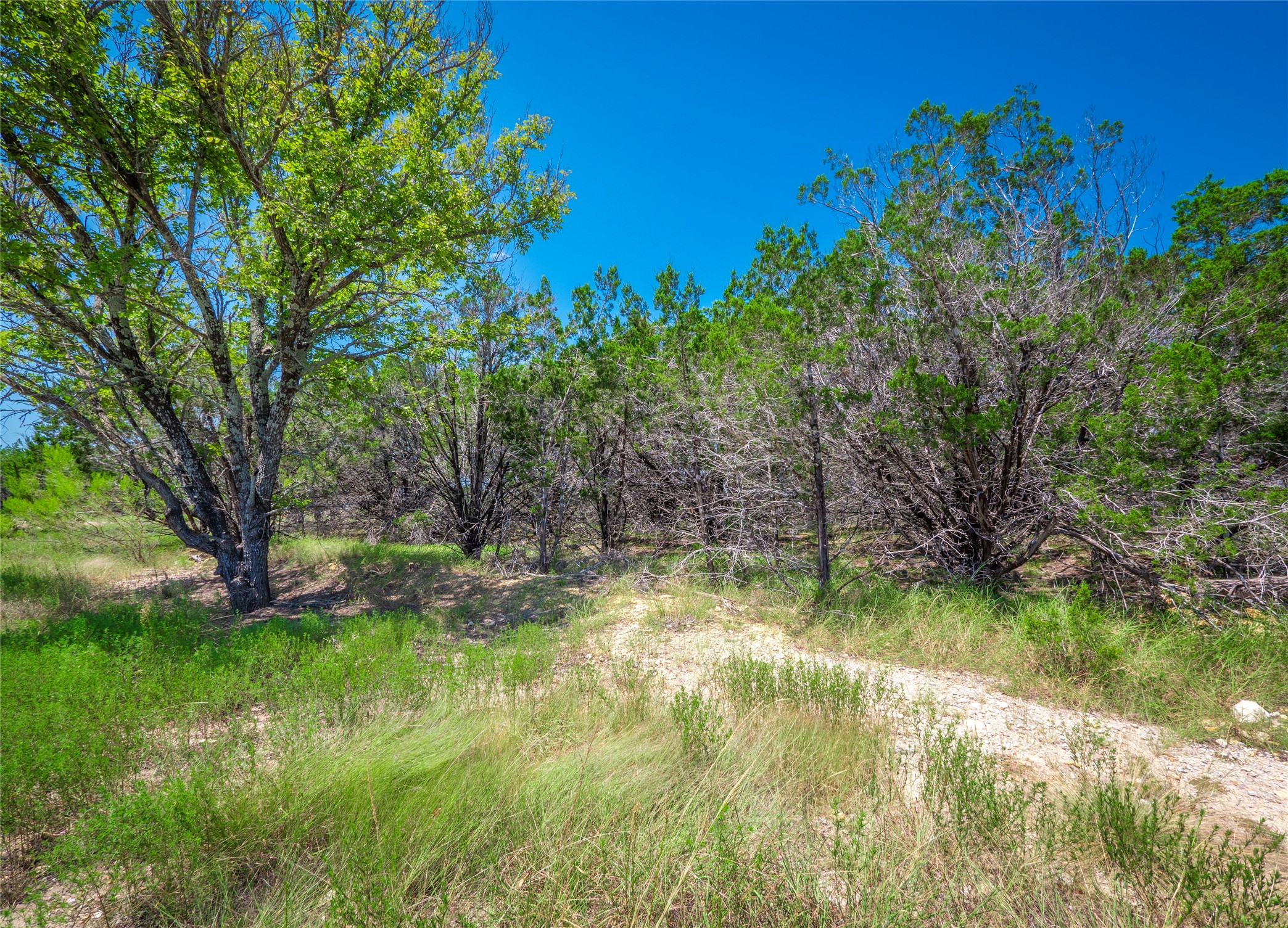 193 Garner Rnch Road Bertram, TX 78605 - Photo 17 of 18