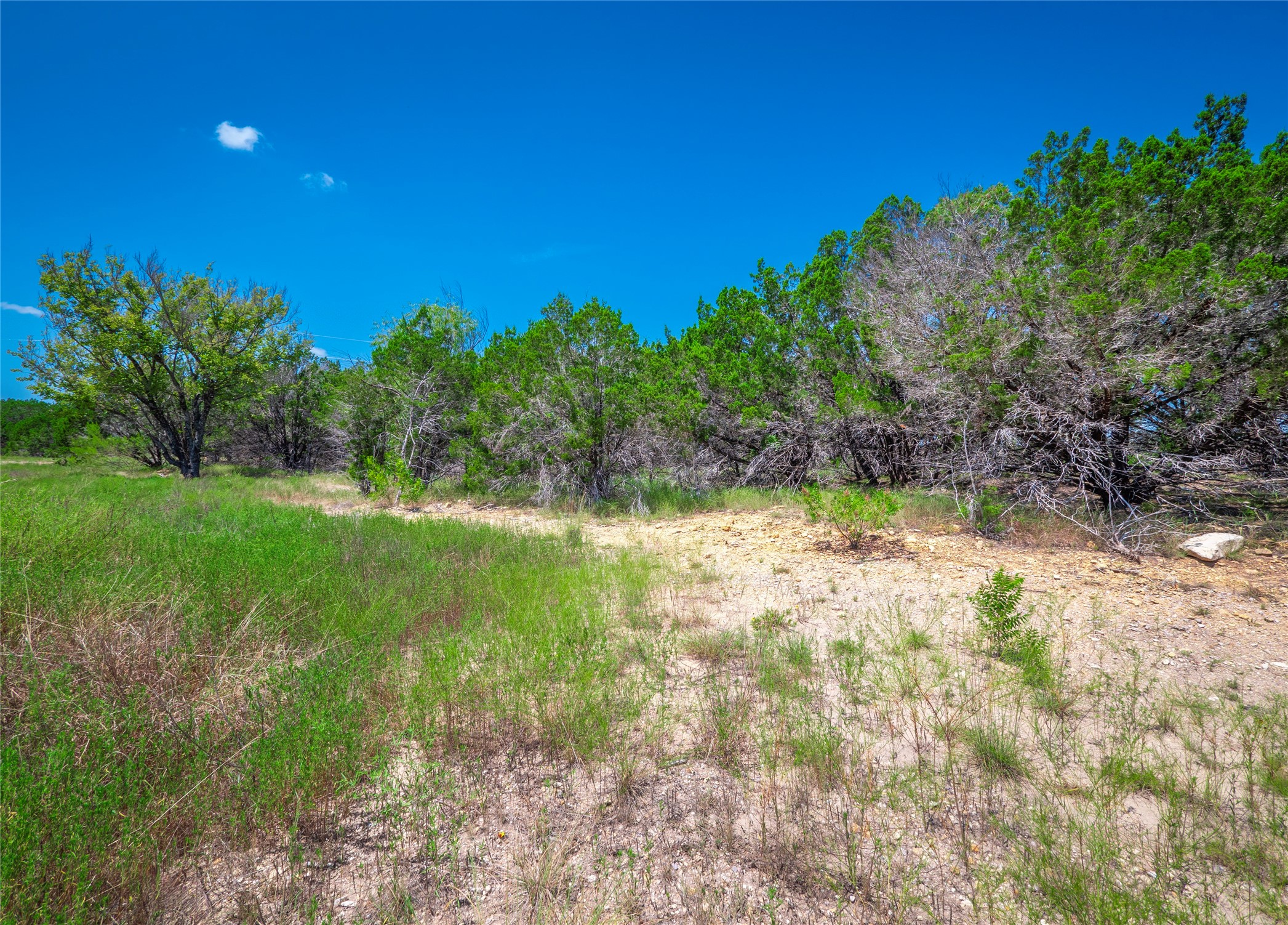 193 Garner Rnch Road Bertram, TX 78605 - Photo 18 of 18