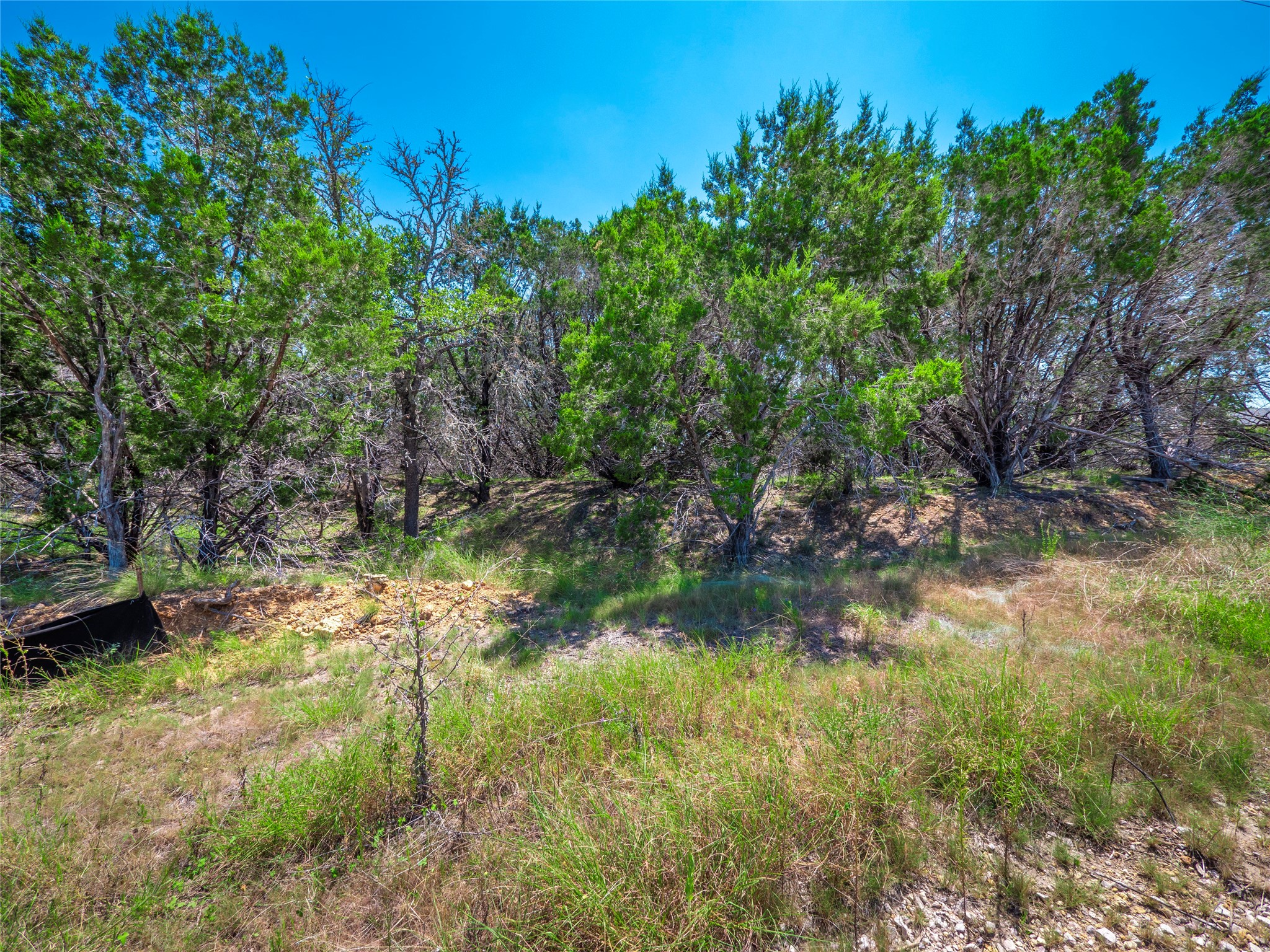 193 Garner Rnch Road Bertram, TX 78605 - Photo 6 of 18