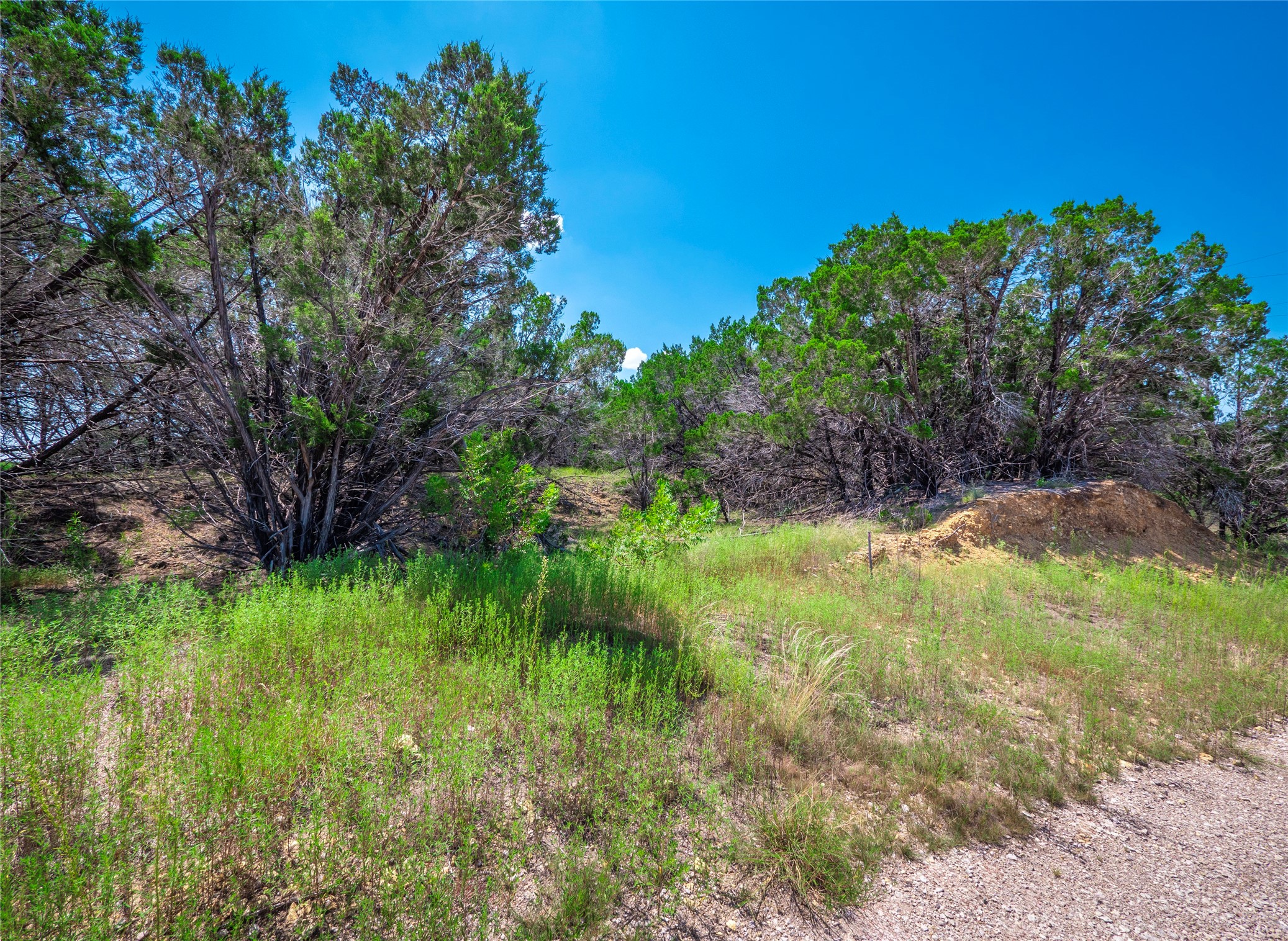 193 Garner Rnch Road Bertram, TX 78605 - Photo 7 of 18