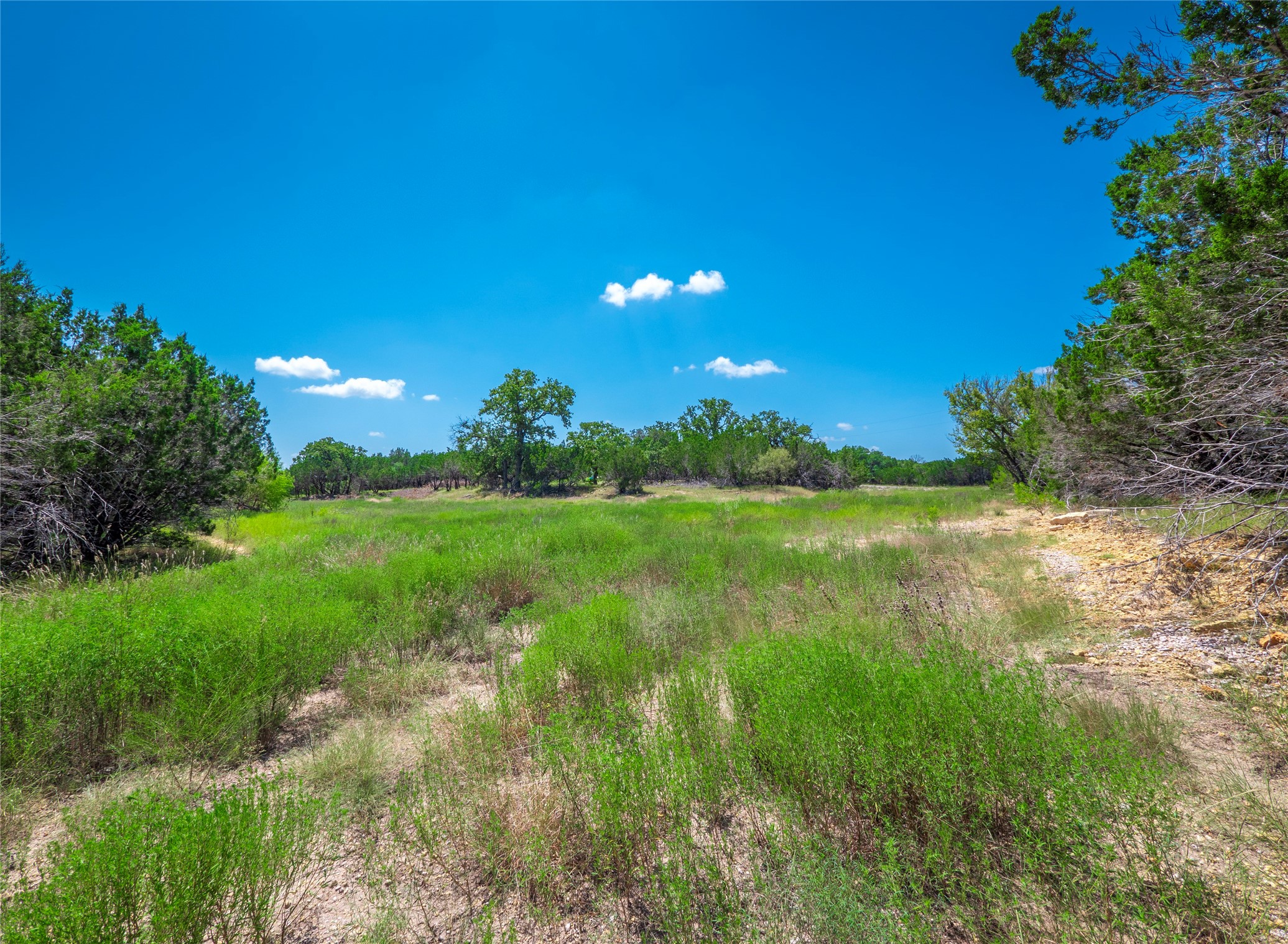 193 Garner Rnch Road Bertram, TX 78605 - Photo 9 of 18