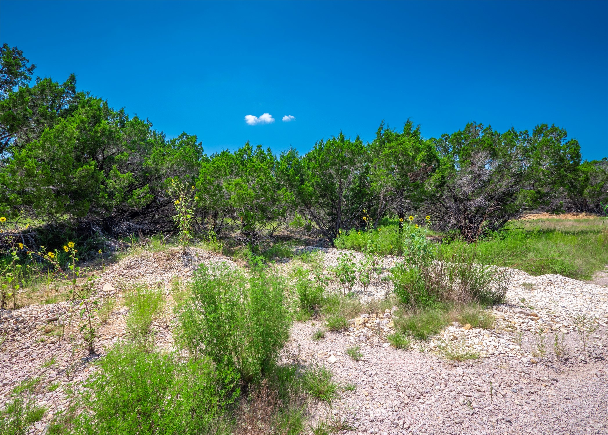 193 Garner Rnch Road Bertram, TX 78605 - Photo 10 of 18