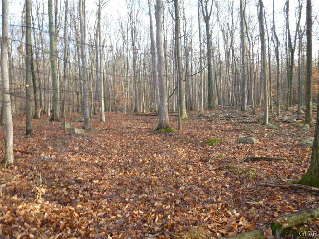 a view of wooden fence with trees in the background