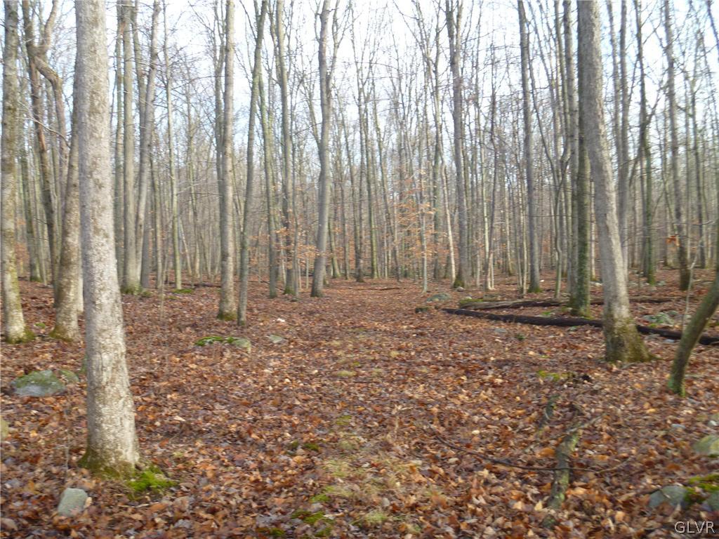 187 Turkey Ridge Road Mount Bethel, PA 18343 - Photo 2 of 3