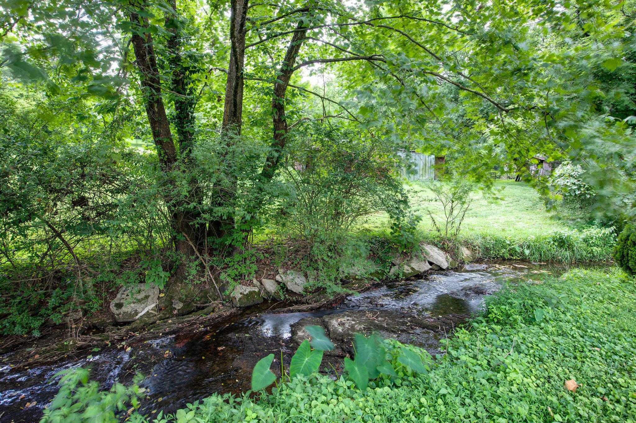 6737 Holt Road Nashville, TN 37211 - Photo 26 of 28 A piece of Nature ,right in the City!