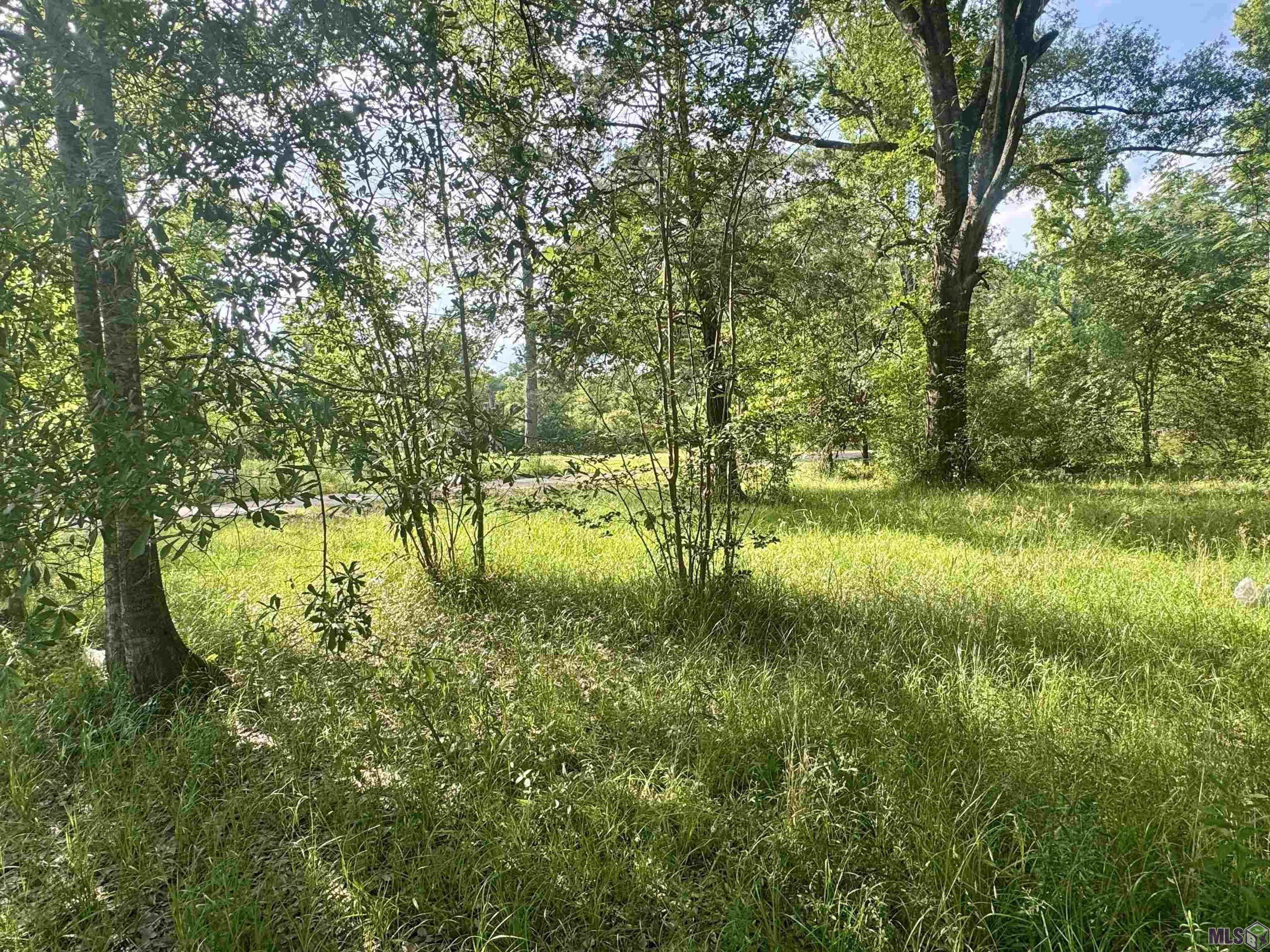 1306 Hazeloak Drive Baker, LA 70714 - Photo 1 of 7