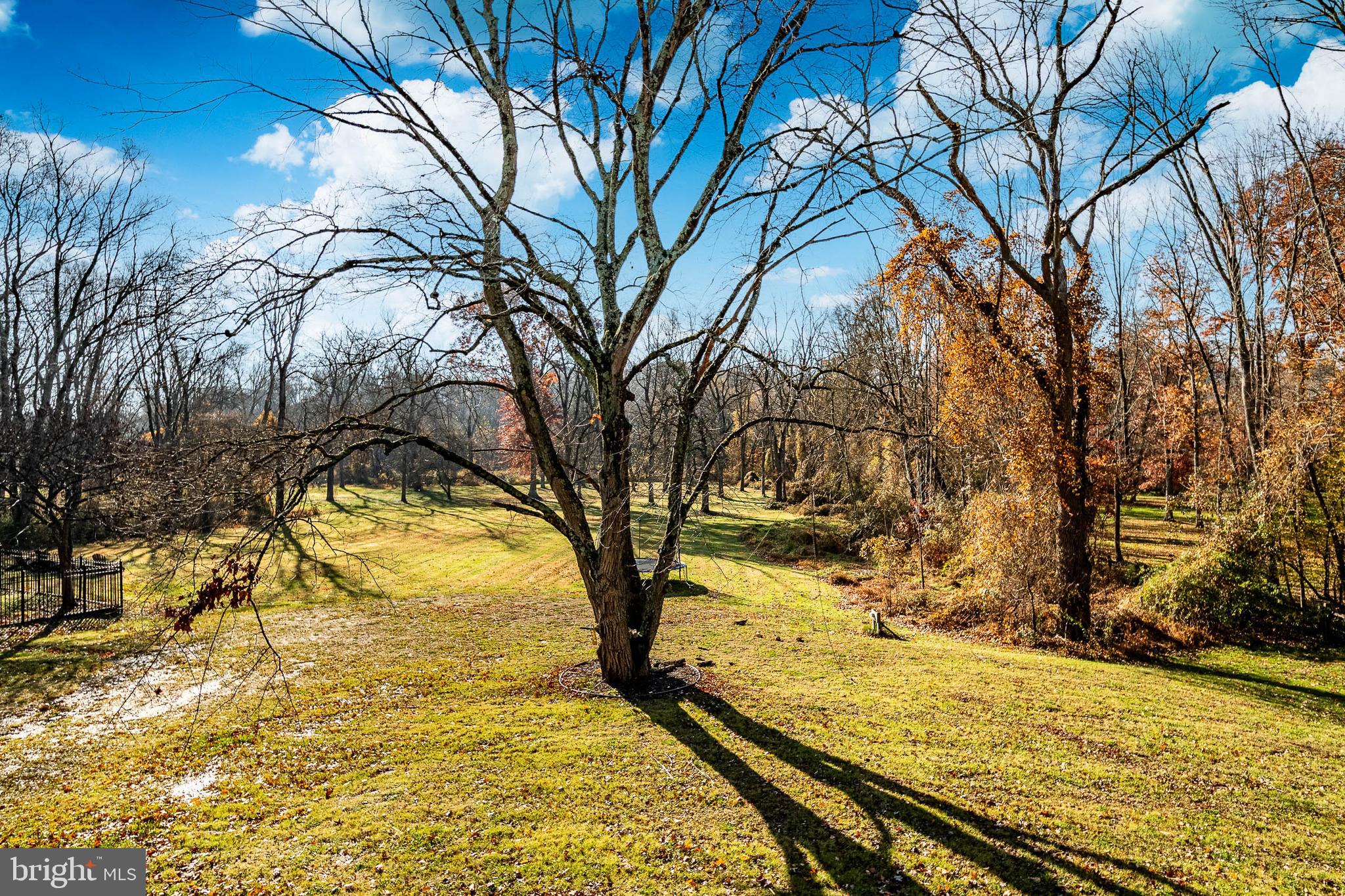 3920 Darby Road Bryn Mawr, PA 19010 - Photo 39 of 54 a view of yard covered with snow