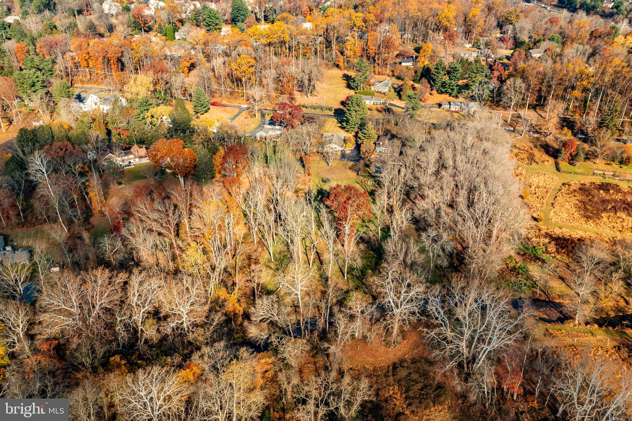 3920 Darby Road Bryn Mawr, PA 19010 - Photo 47 of 54 a view of a tree