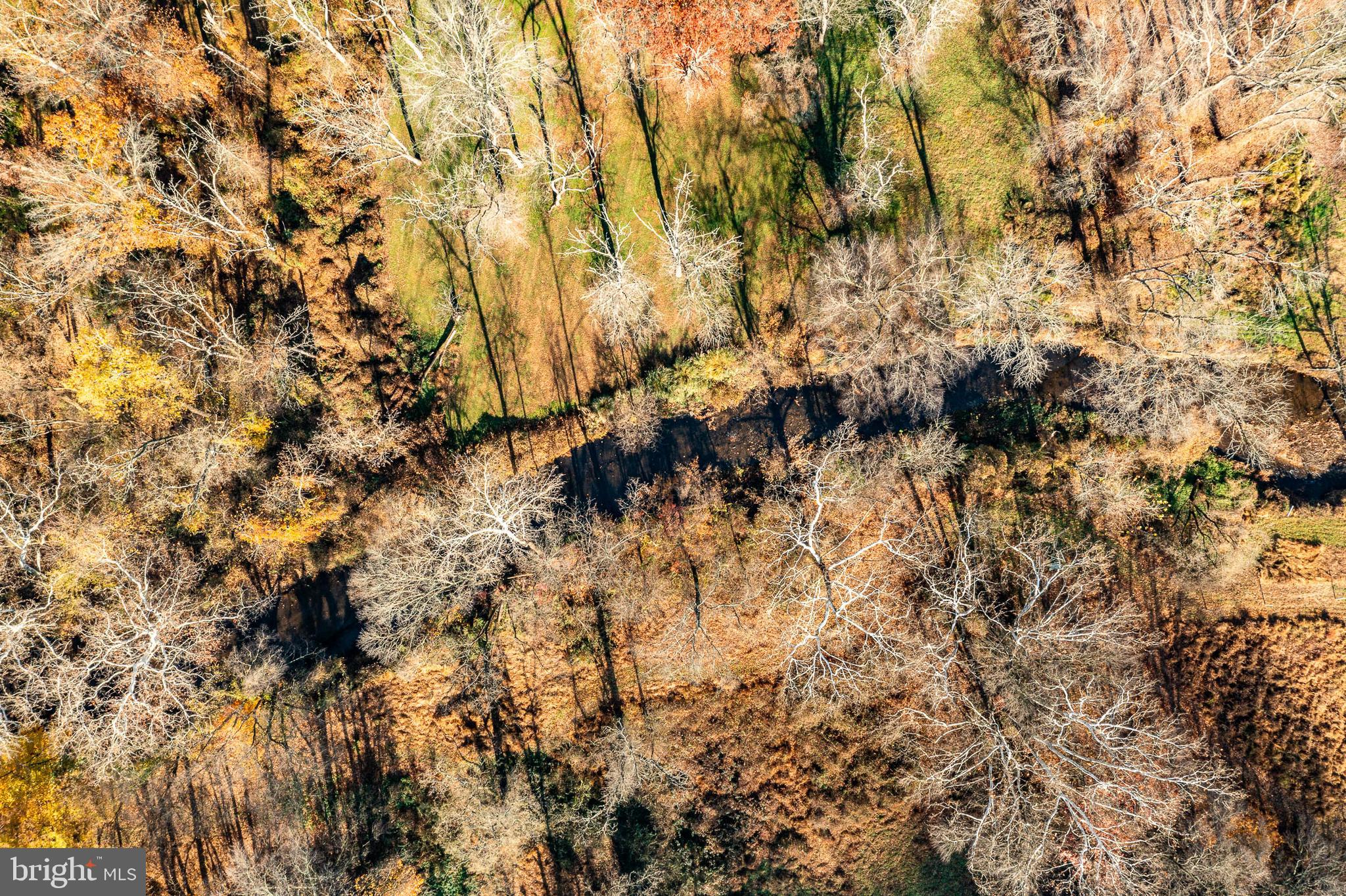 3920 Darby Road Bryn Mawr, PA 19010 - Photo 48 of 54 a view of a tree