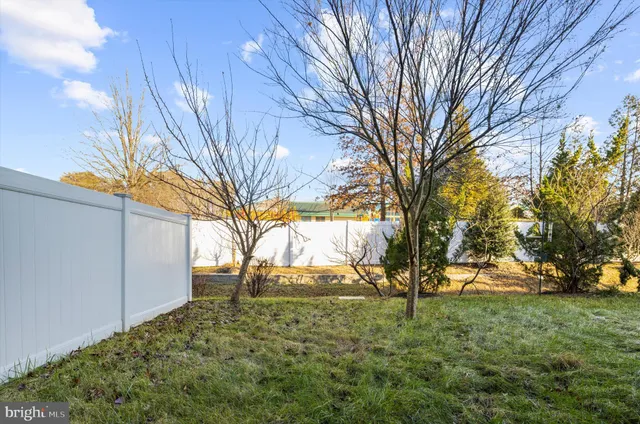 a view of backyard with tree